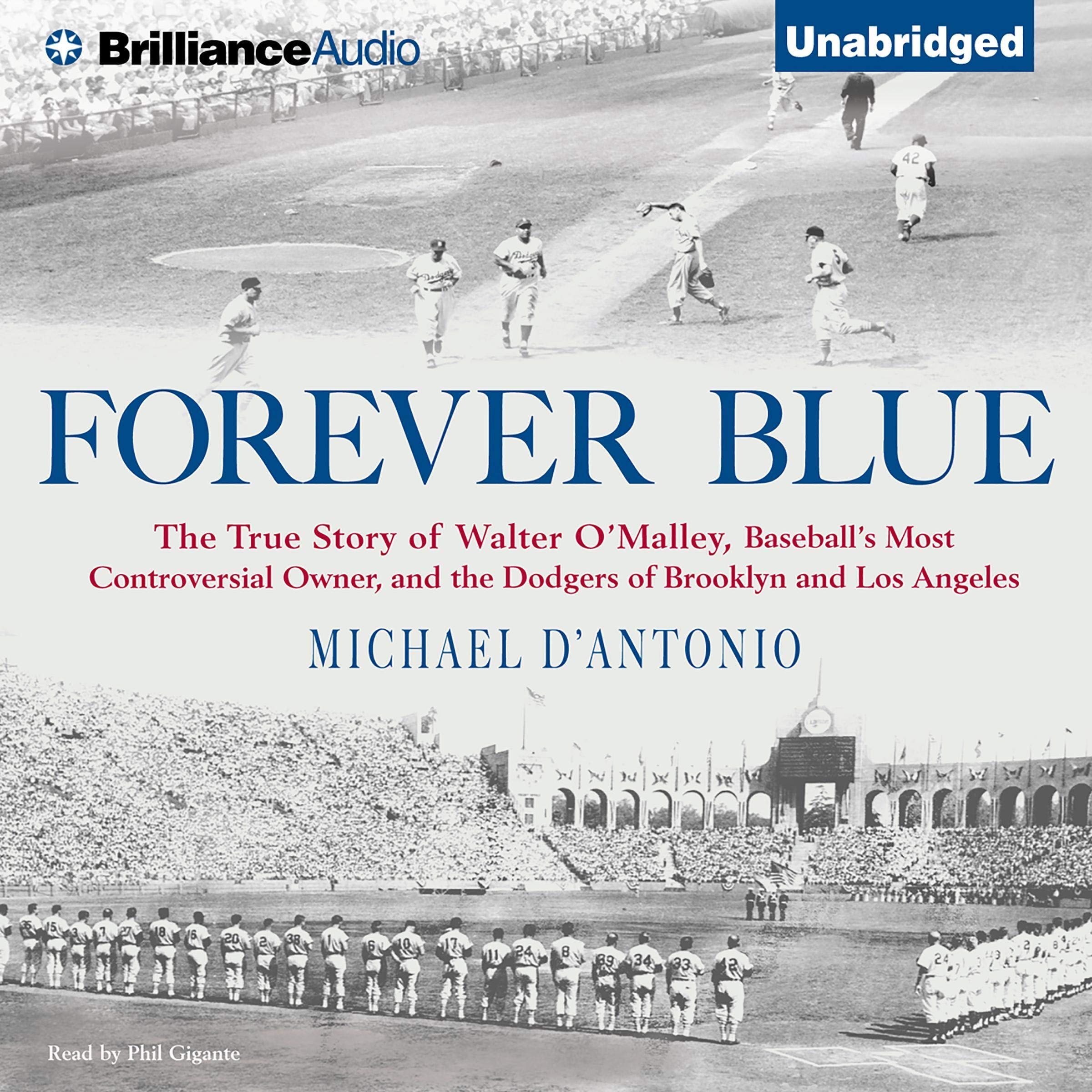 Cover art for Forever Blue