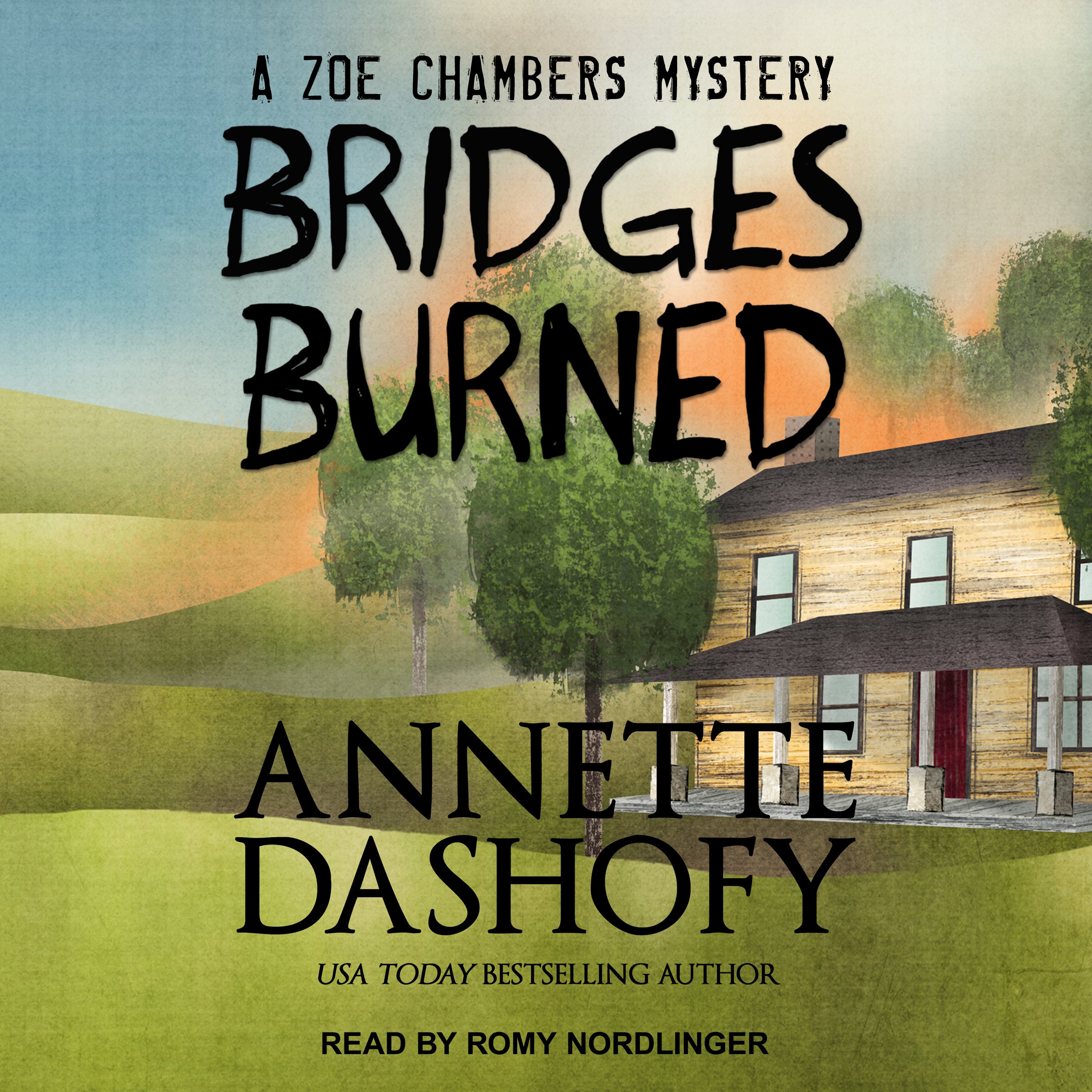 Cover art for Bridges Burned