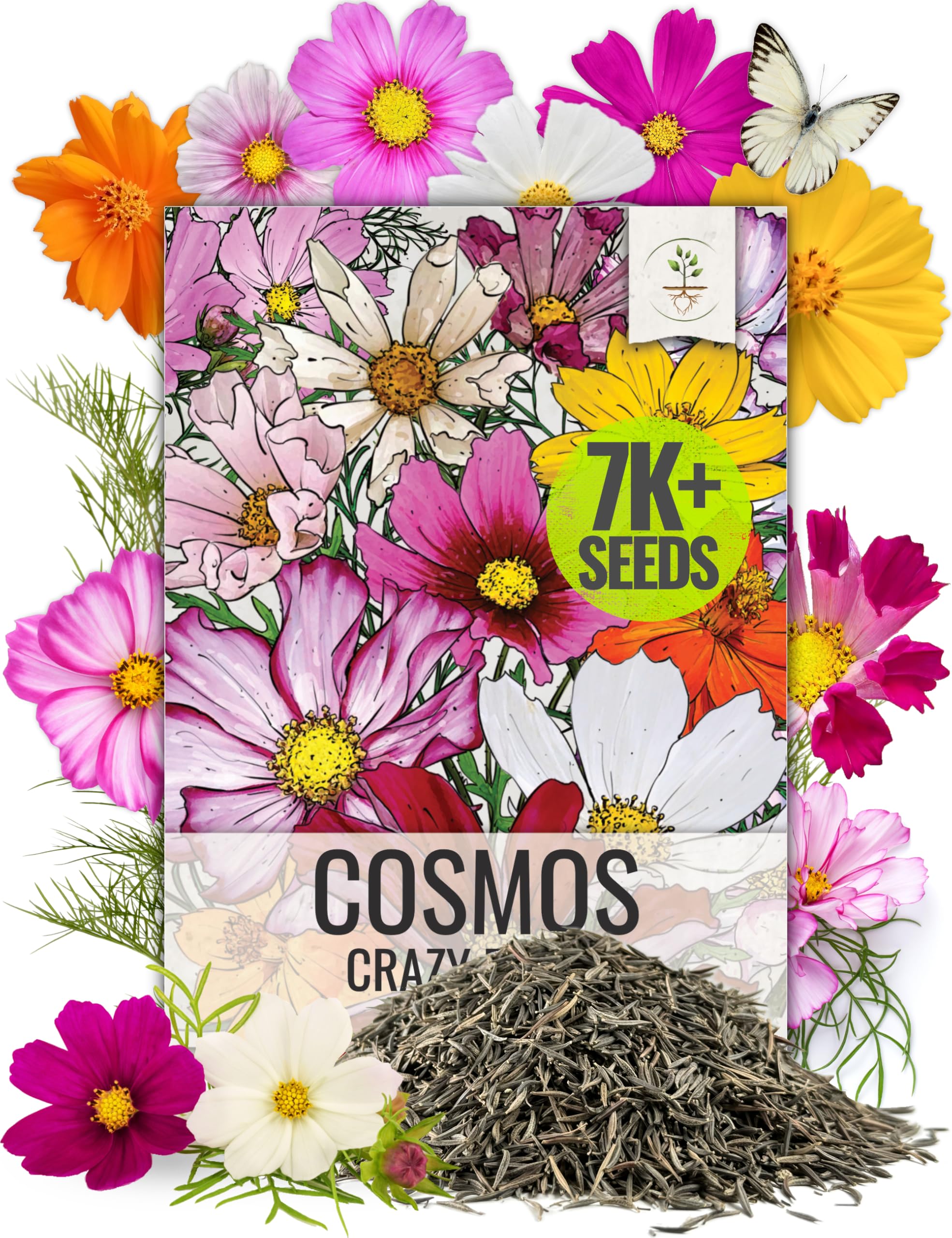Seed Needs Wildflower Seeds Cosmos Crazy Blend 1.5 Ounce No Filler | 10+ Varieties Including Seashells, Purity & Candystripe | Cosmo Bipinnatus Open Pollinated Untreated | Bulk Resealable Packaging