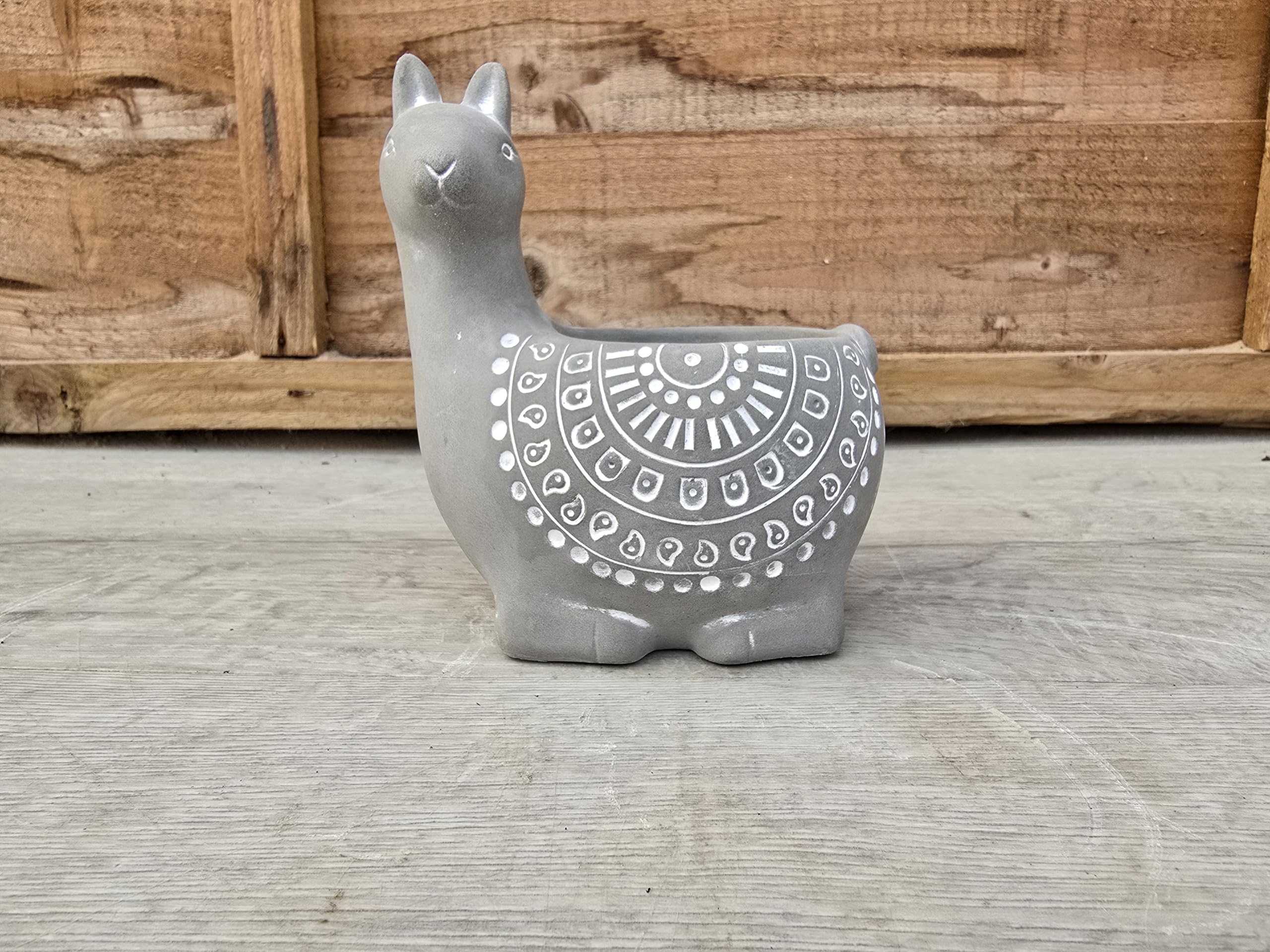 Pugh's Cacti Grey Alpaca Decorative Pot Cover (Grey). Animal Plant Pot. Perfect For Gifts/Personal Use. Good For Office/Home Environment. Perfect For Cactus/Cacti And Succulents. 5.5Cm Inner Diameter