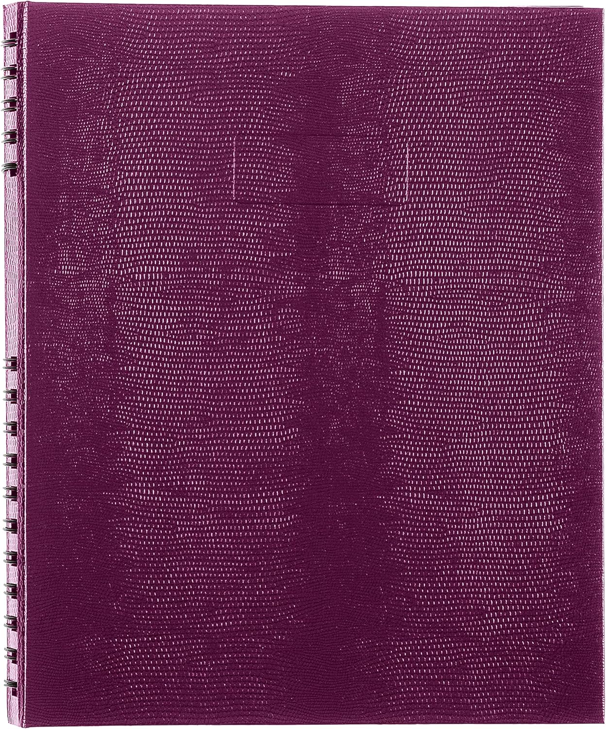 Blueline NotePro™ Executive Notebook, Indexing System, Refillable, Hard Cover, 10.75" x 8.5", 300 Ruled Pages, Grape (A10300.RAS)