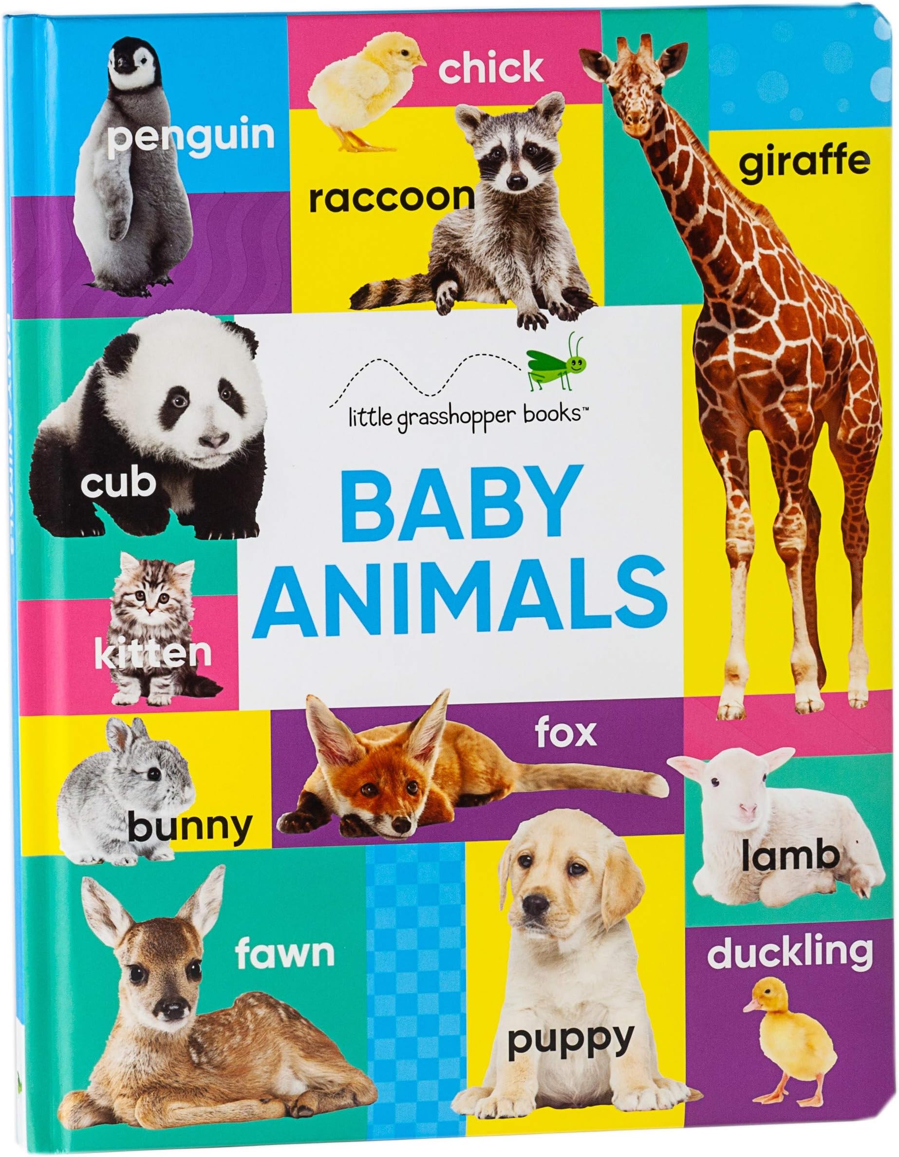 Baby Animals (Large Padded Board Book) (Early Learning)