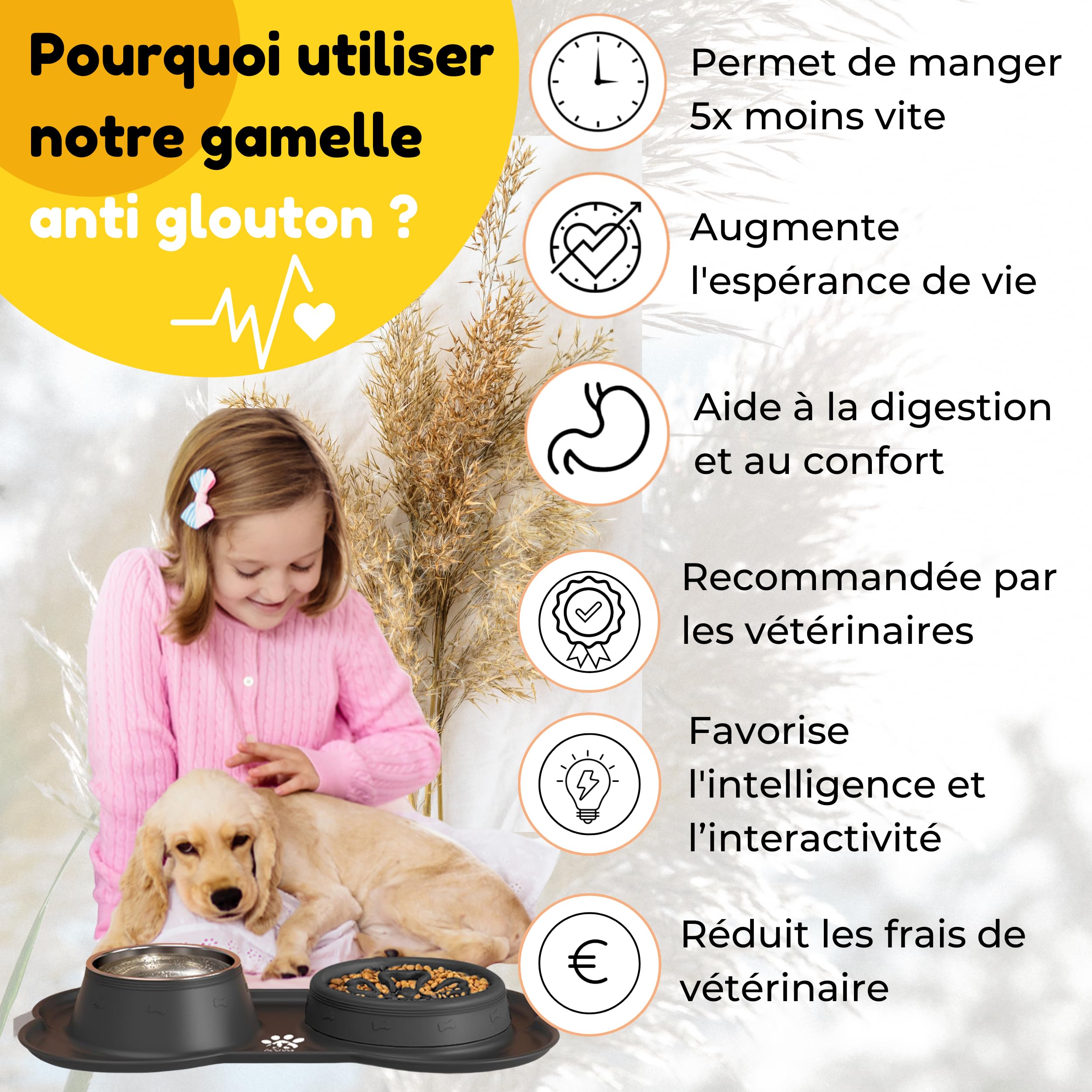 Ac'Crocs,Ciotola per cani 4 in 1: tappetino antiscivolo, anti-fuoriuscita, anti-ribaltamento, doppia ciotola in acciaio inox! Per cani di medie e grandi dimensioni + 1 Frisbee in omaggio