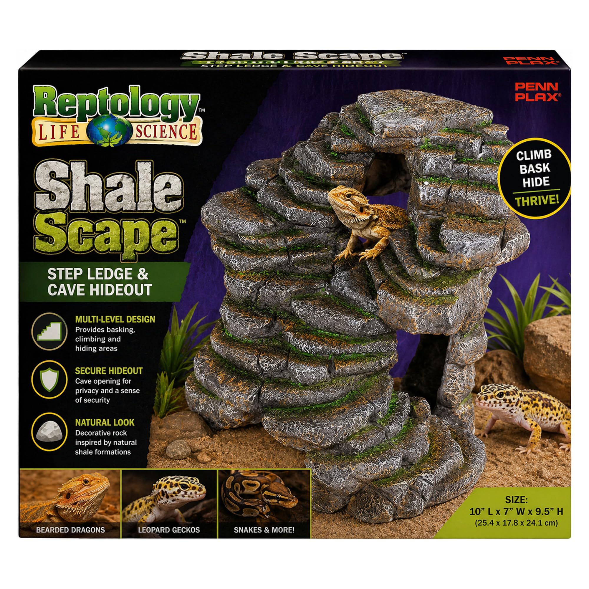 PENN-PLAX Reptology Shale Scape Step Ledge & Cave Hideout – Basking Area - Decorative Resin for Aquariums & Terrariums – Great for Reptiles, Amphibians, and Fish – Medium — Amazon image 14