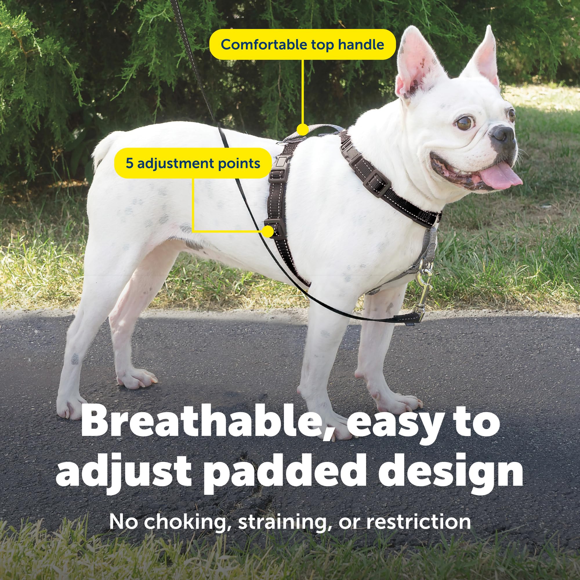 Amazon | PetSafe 3 in 1 引っ張りなし犬用ハーネス - 散歩、電車