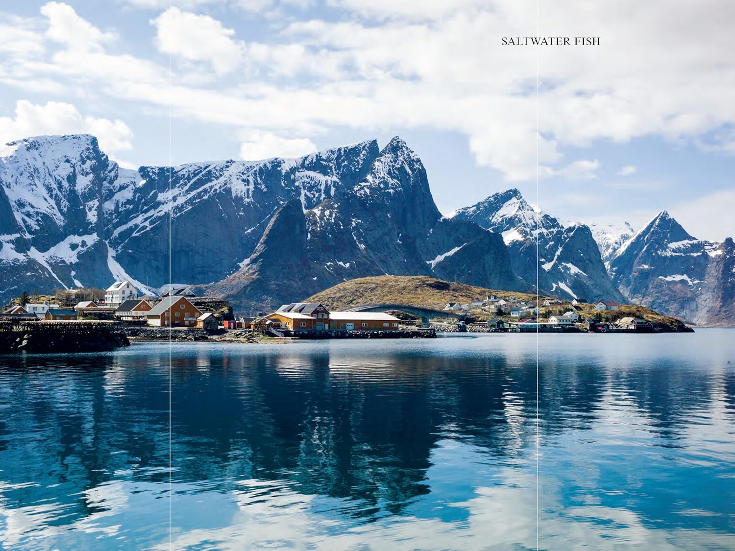 The Nordic Cookbook - Image 15