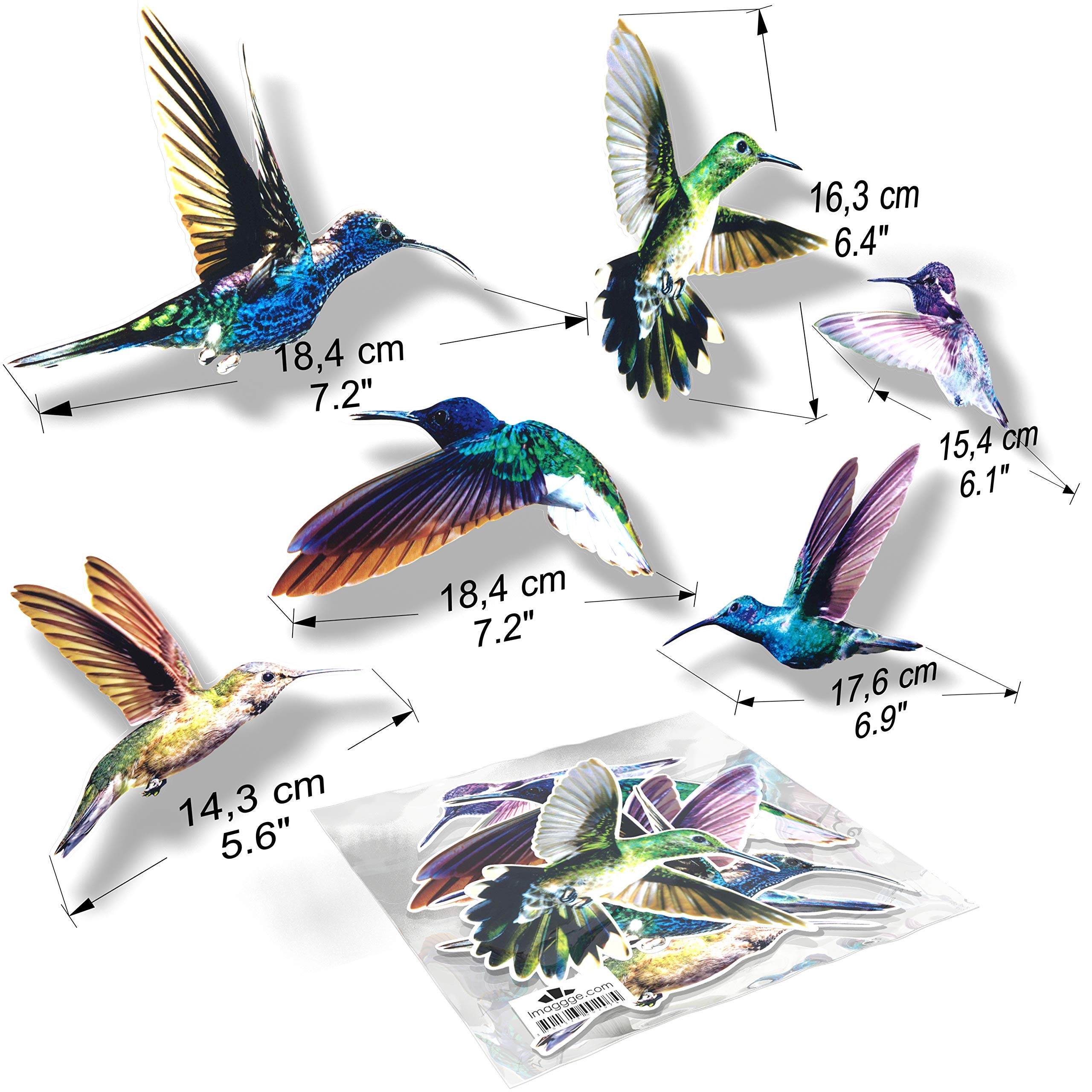 6 Autocollants Oiseaux Anti-Collision Pour Fenêtres - Décoratifs Et Protecteurs Translucides