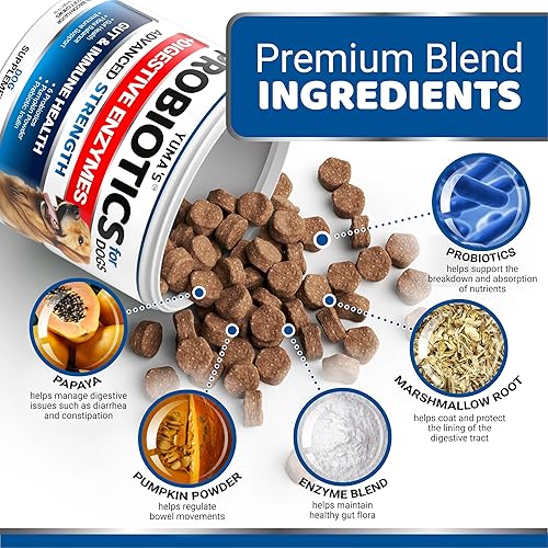 Miniatura 3 de Probióticos para perros y enzimas digestivas  170 probióticos masticables para perros  Probiótico para perros  Anti diarrea, malestar estomacal y