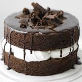 Cake Recipes for All Ocassions