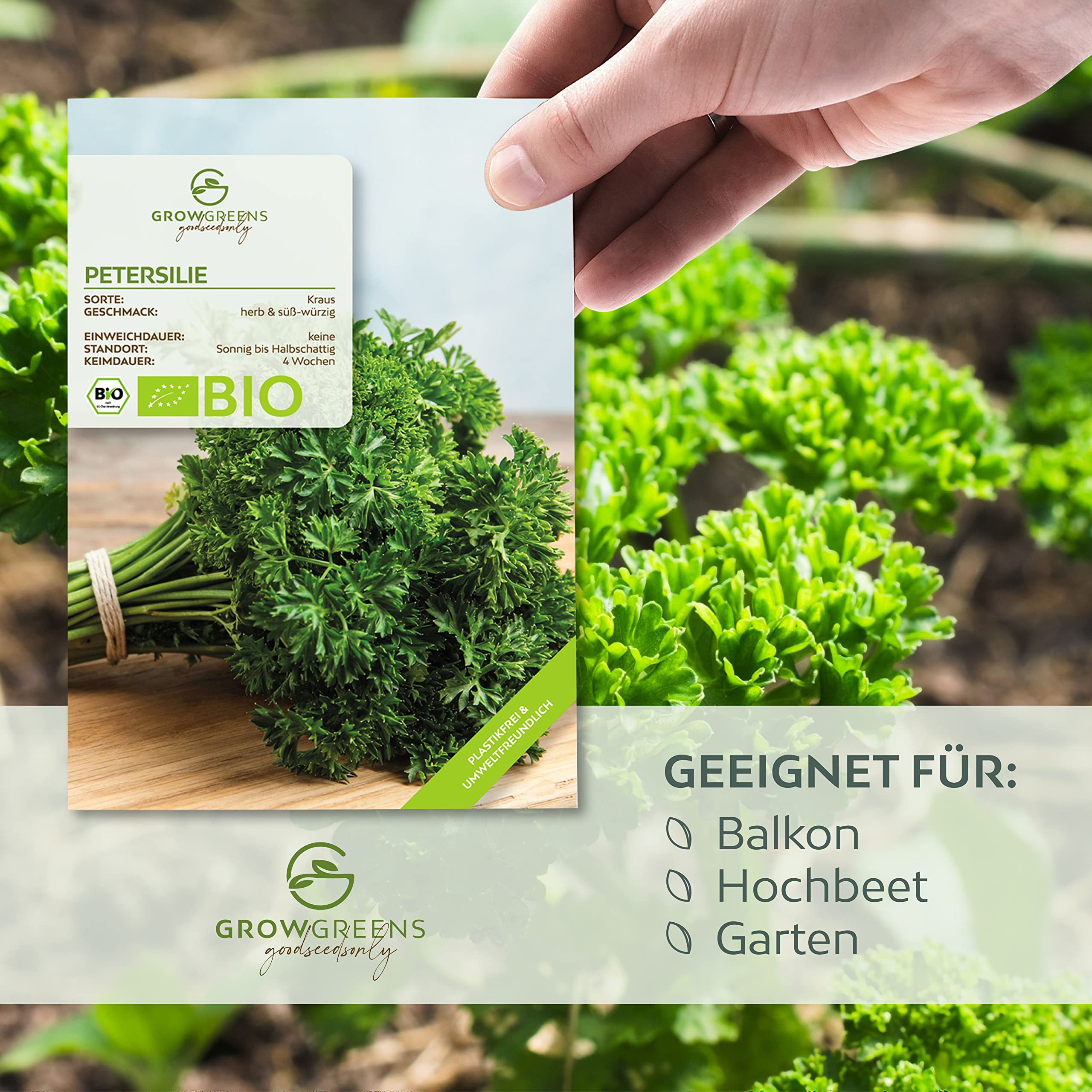 BIO Graines de persil frisé - Graines d'herbes aromatiques pour faire pousser de culture biologique idéal pour le jardin aromatique