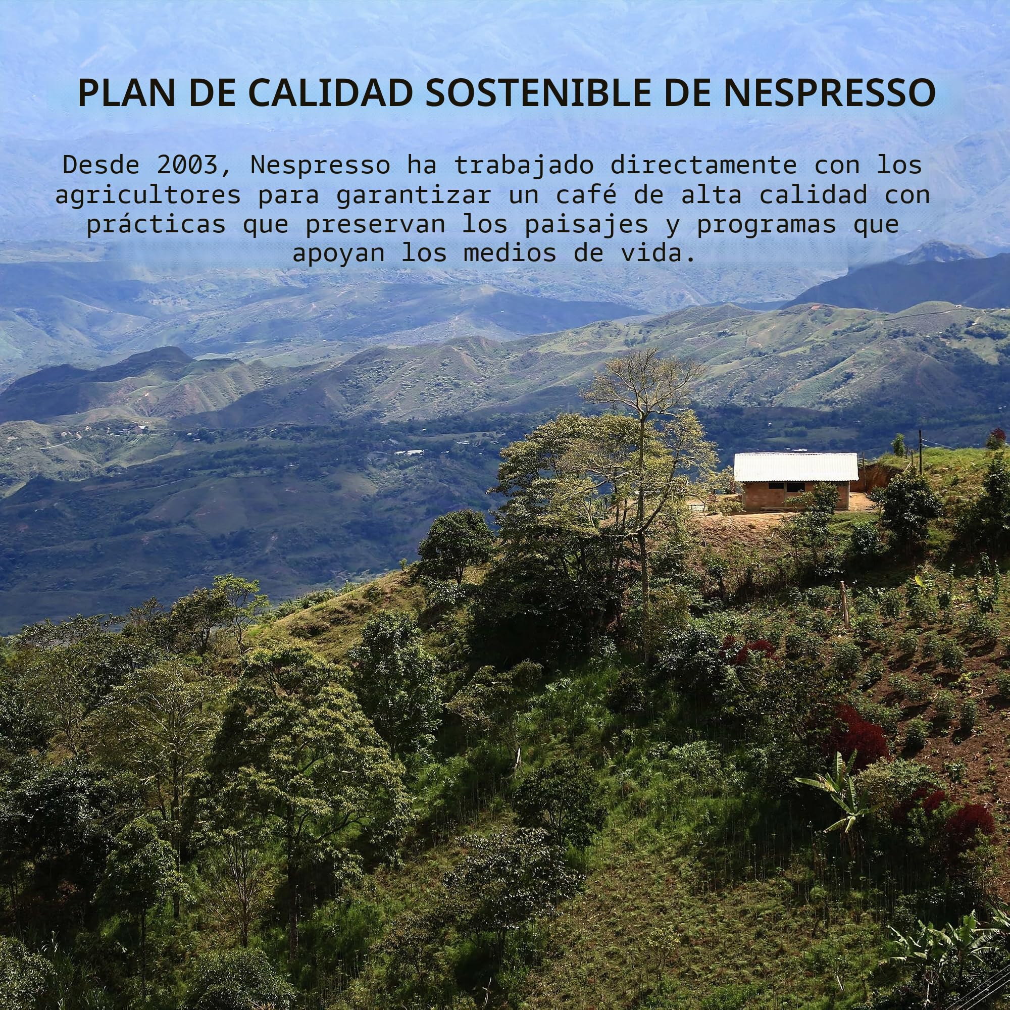 OriginalLine Nespresso: Arpeggio, 50-Count | Paquete de 1 cápsula