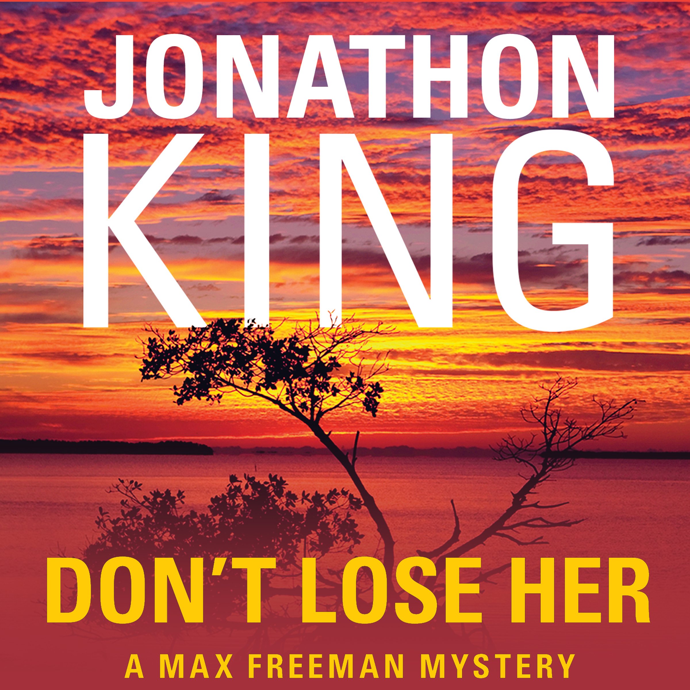 Cover art for Don't Lose Her