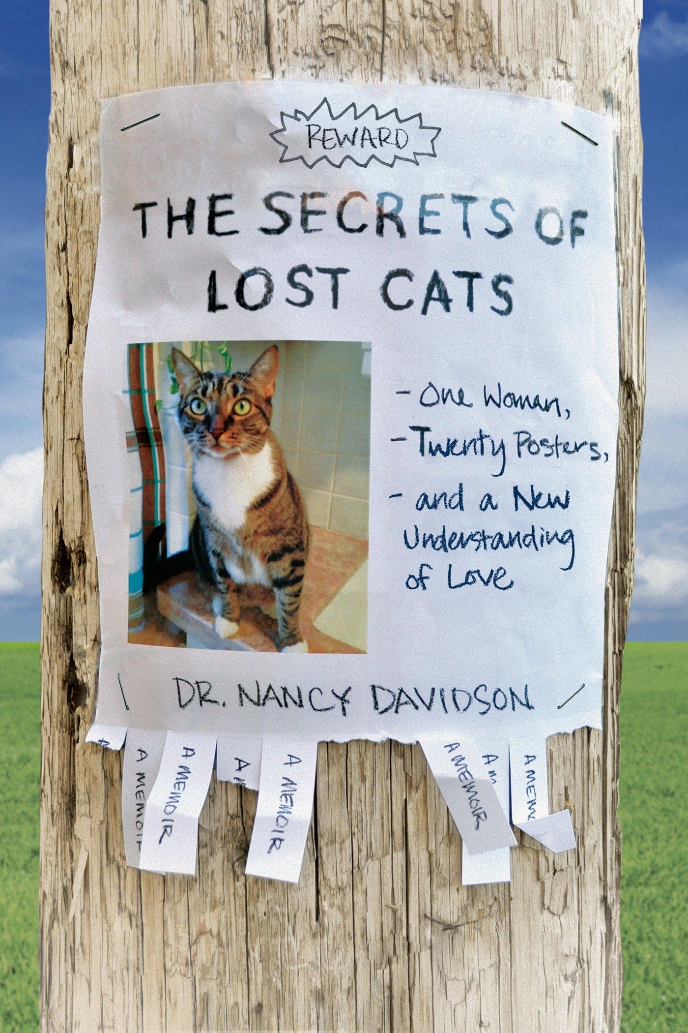Secrets of Lost Cats