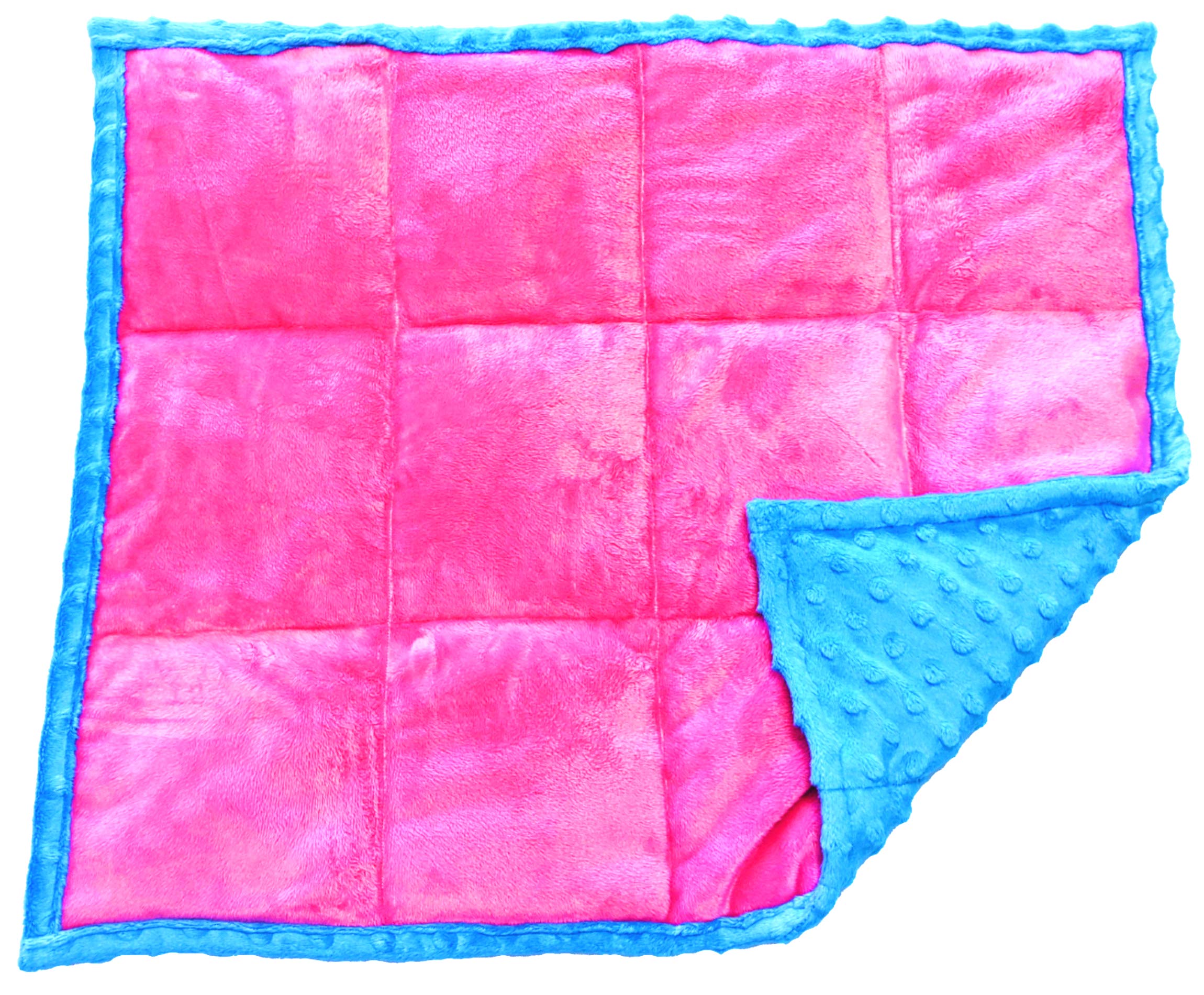 REACHTHERAPY SOLUTIONS ))) Weighted Lap Pad for Kids | Portable Sensory Support | 5 lbs – Tickled Pink