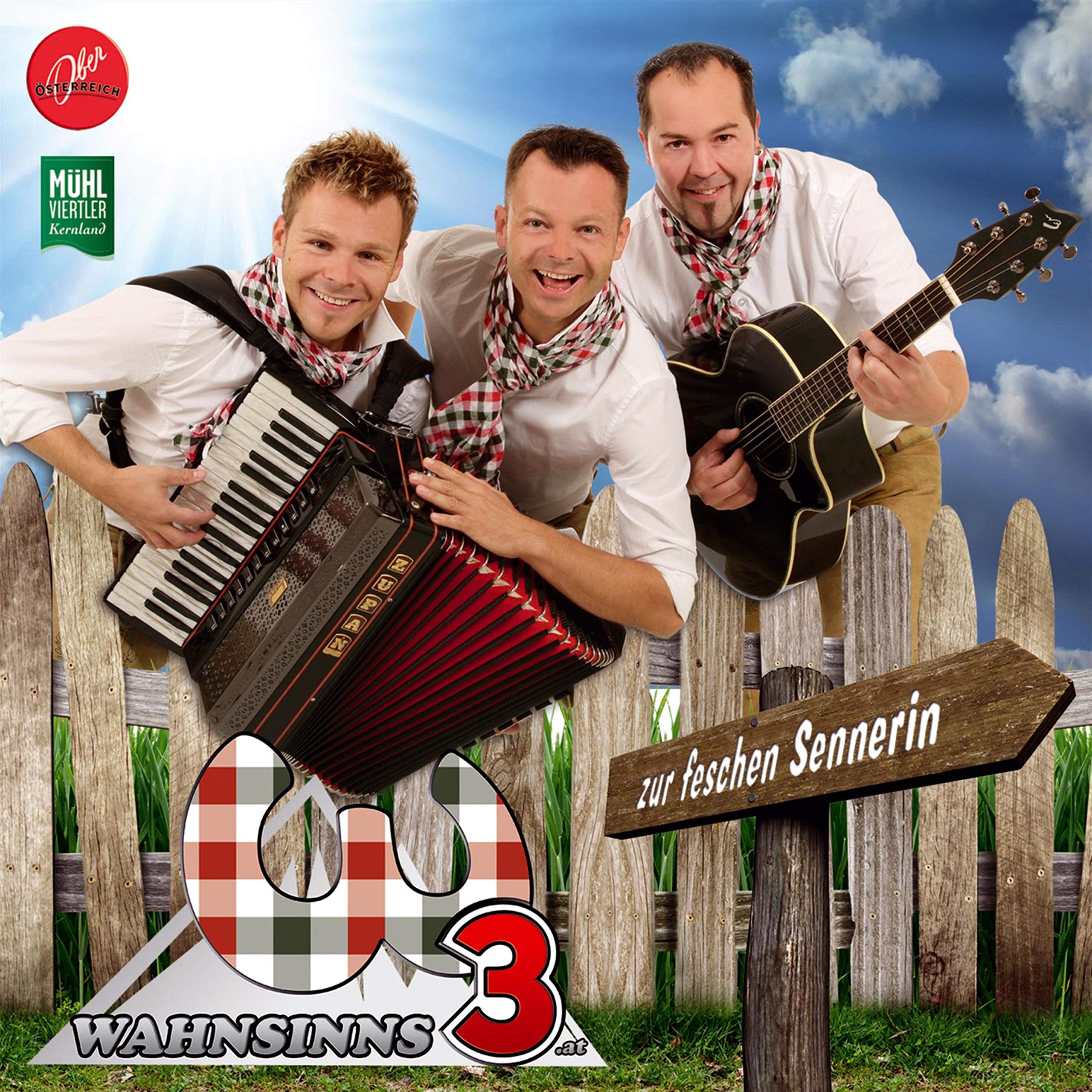 Die Wahnsinns 3