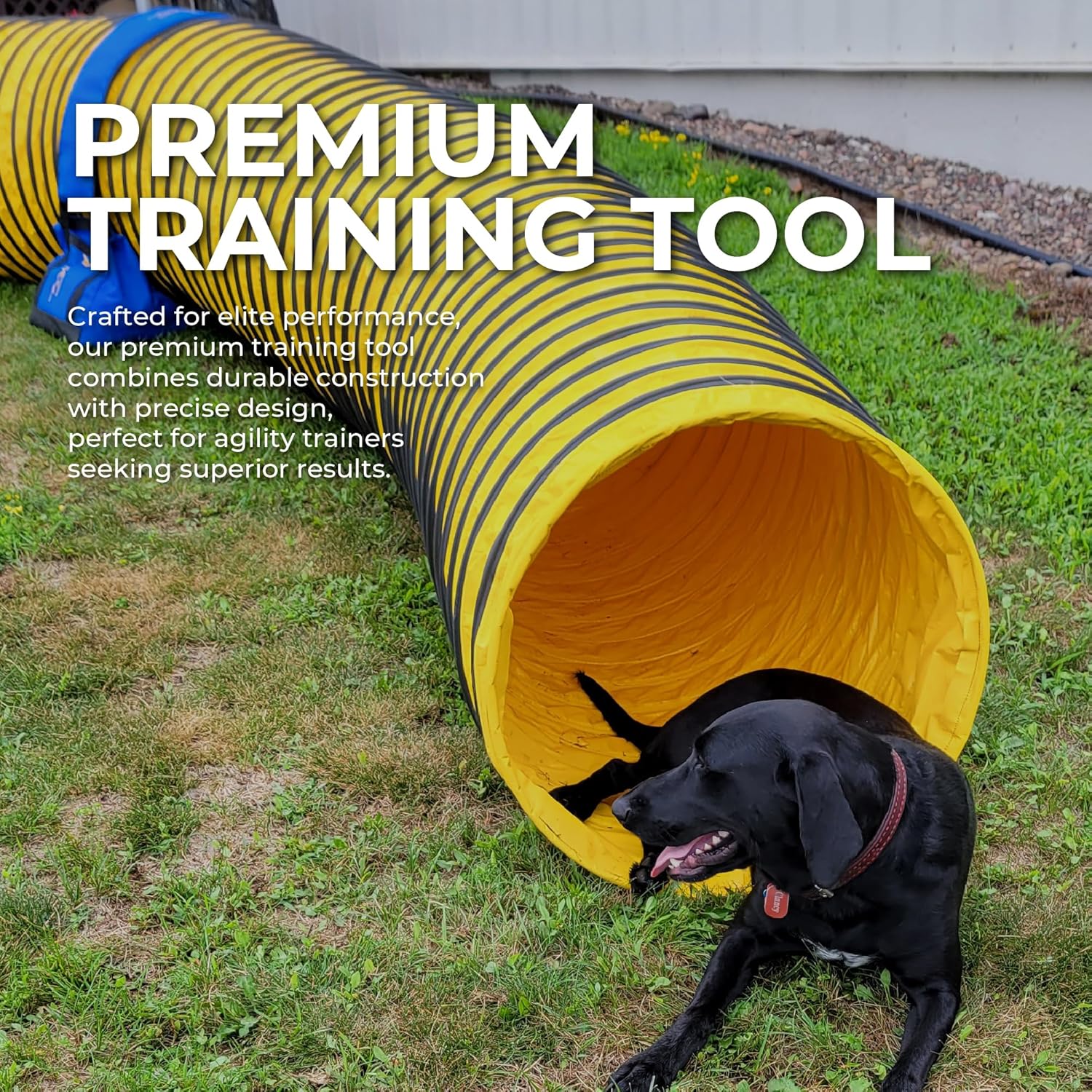 ActiveDogs Dog Tunnel Agility Training Equipment - 20' Heavy Duty Competition Tunnel with 4" Pitch for Outdoor & Indoor Dogs Agility Obstacle Course Training & Exercise - AKC Compliant, Yellow