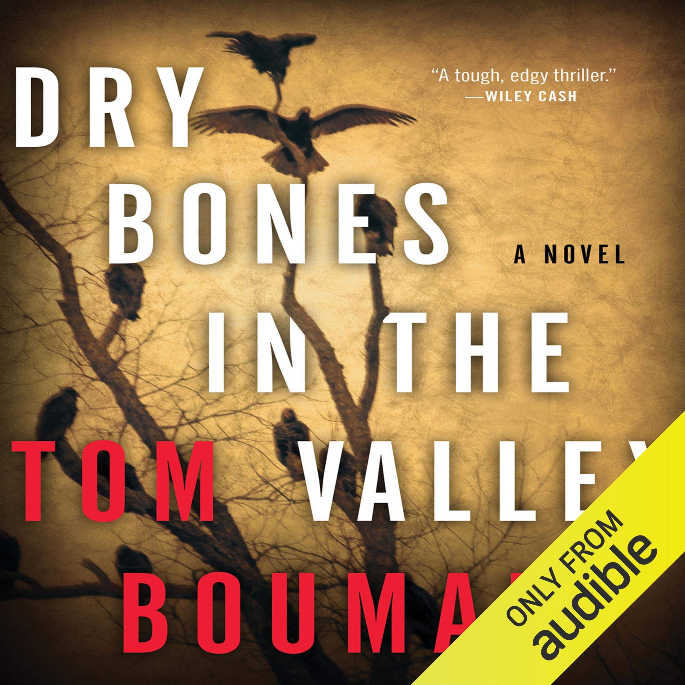 Dry Bones in the Valley