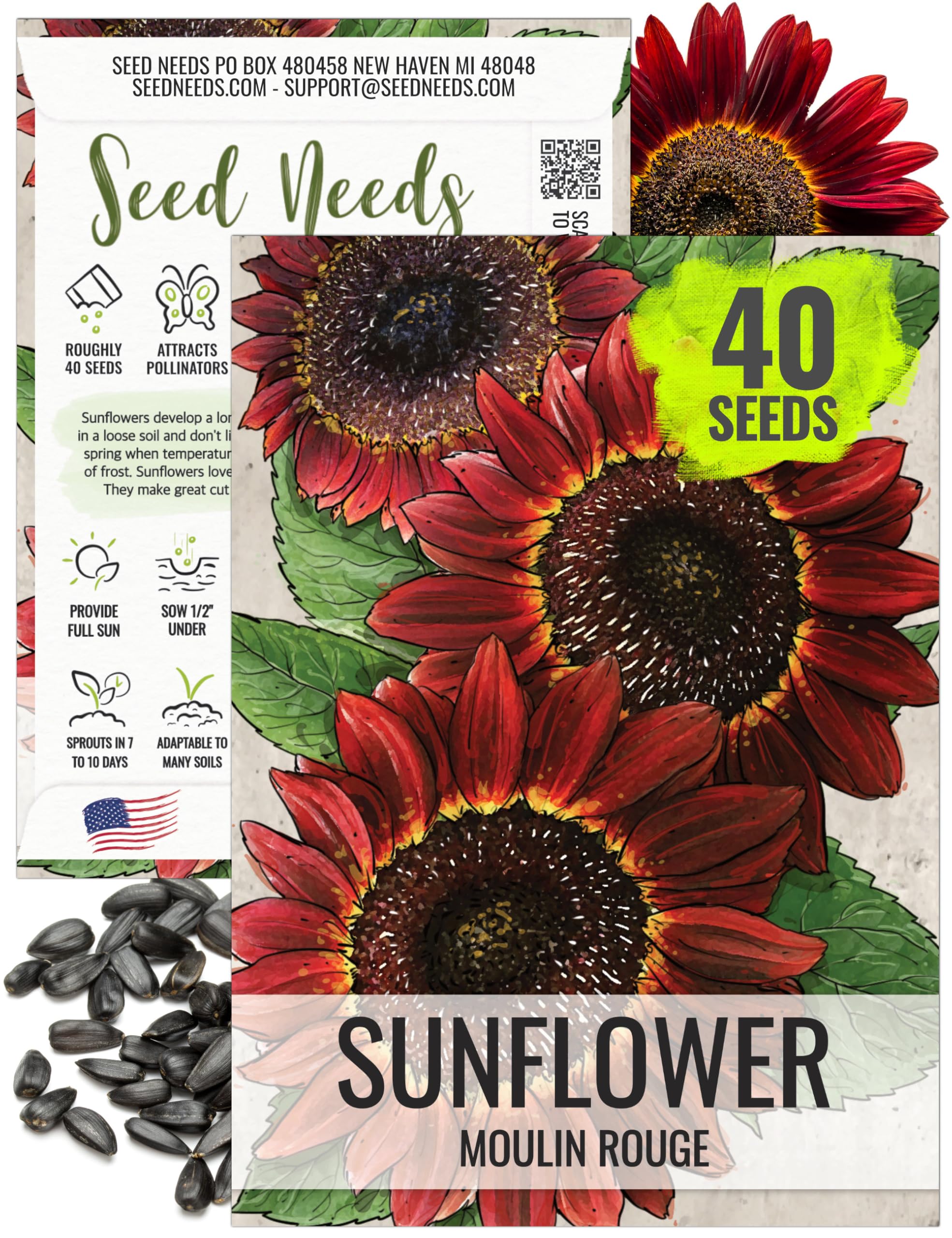 Seed Needs Moulin Rouge Sunflower Seeds for Planting - F1 Hybrid Deep Burgundy Red Flowers Perfect for Bouquets & Floral Arrangements as a Cut Flower (1 Pack)