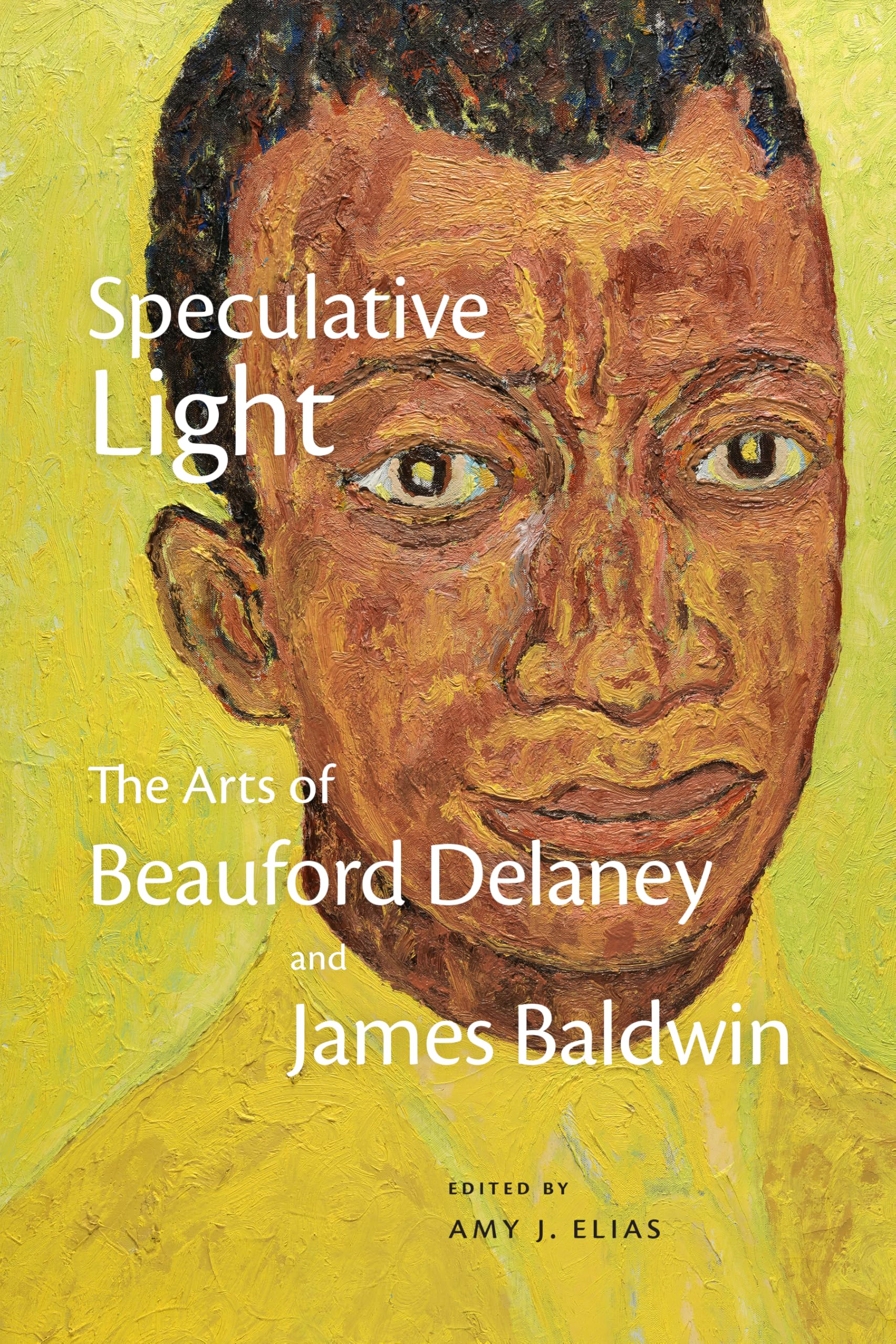 Speculative Light (Paperback Book)