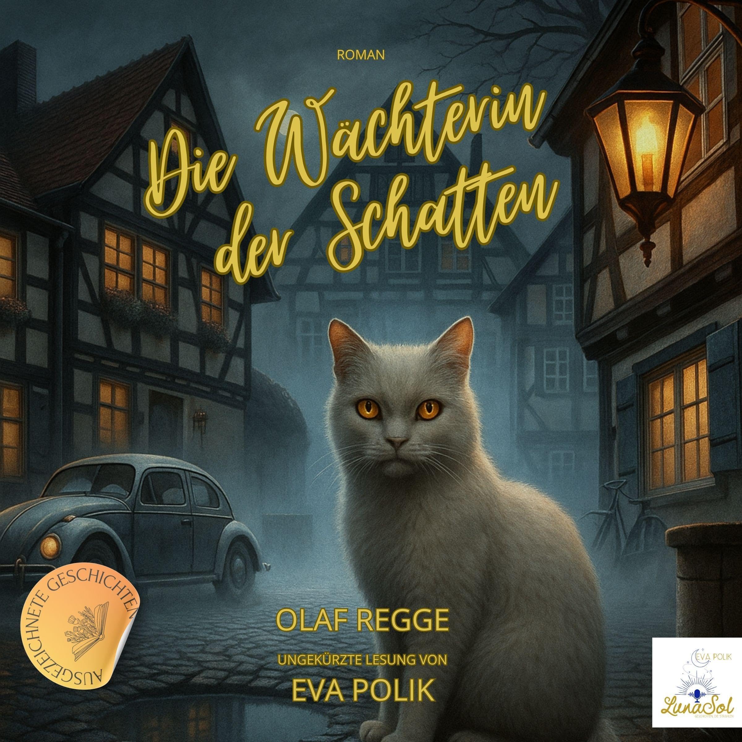 Cover art for Die Wächterin der Schatten