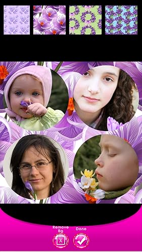 Crocus Photo Collage