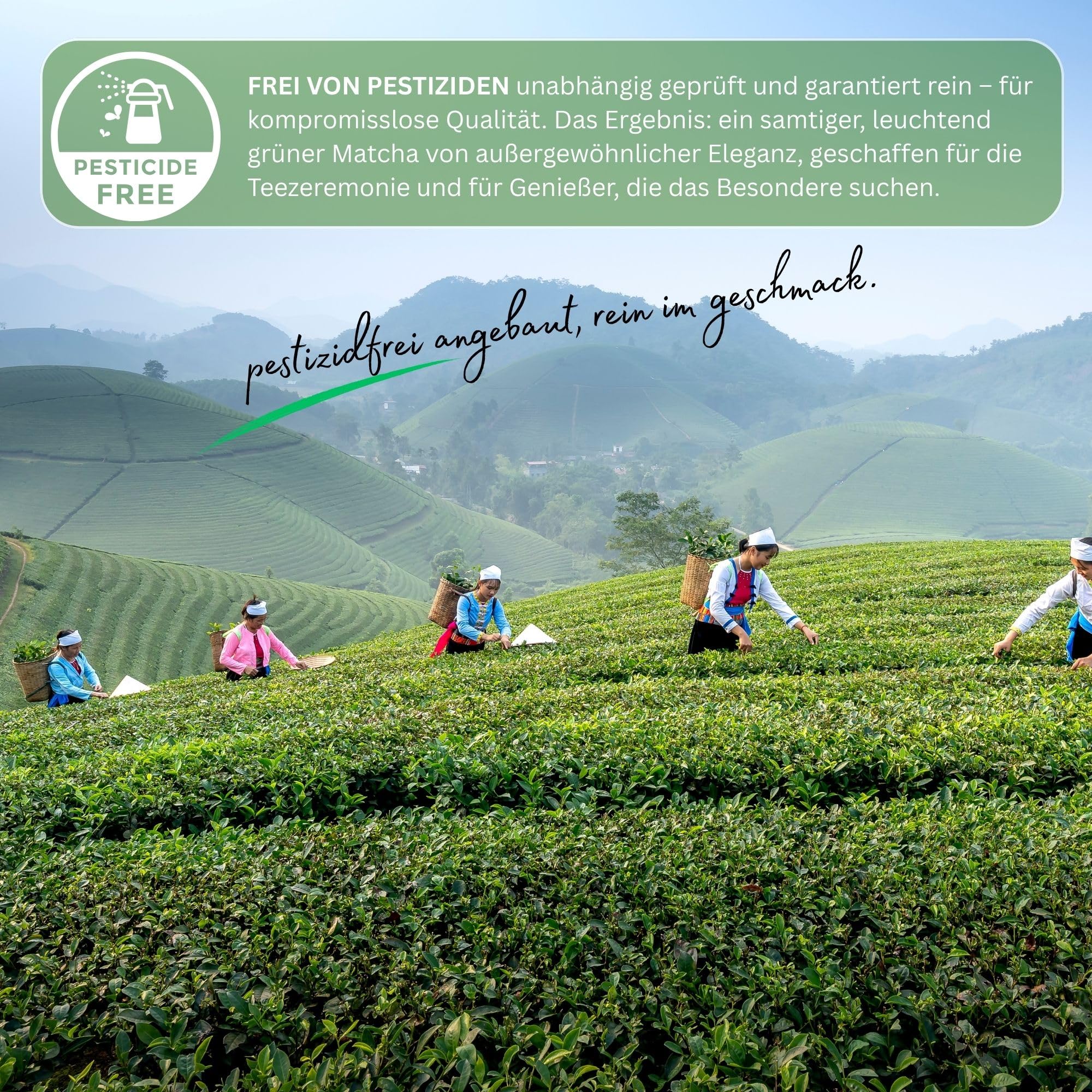 Yozi high ceremonial grade Matcha Pulver | aus Japan - Kagoshima | Pestizidfreier Matcha in höchster Reinheit | Premium Matcha Tee Pulver Single Origin | ersten Ernte (500g Vorratspack)