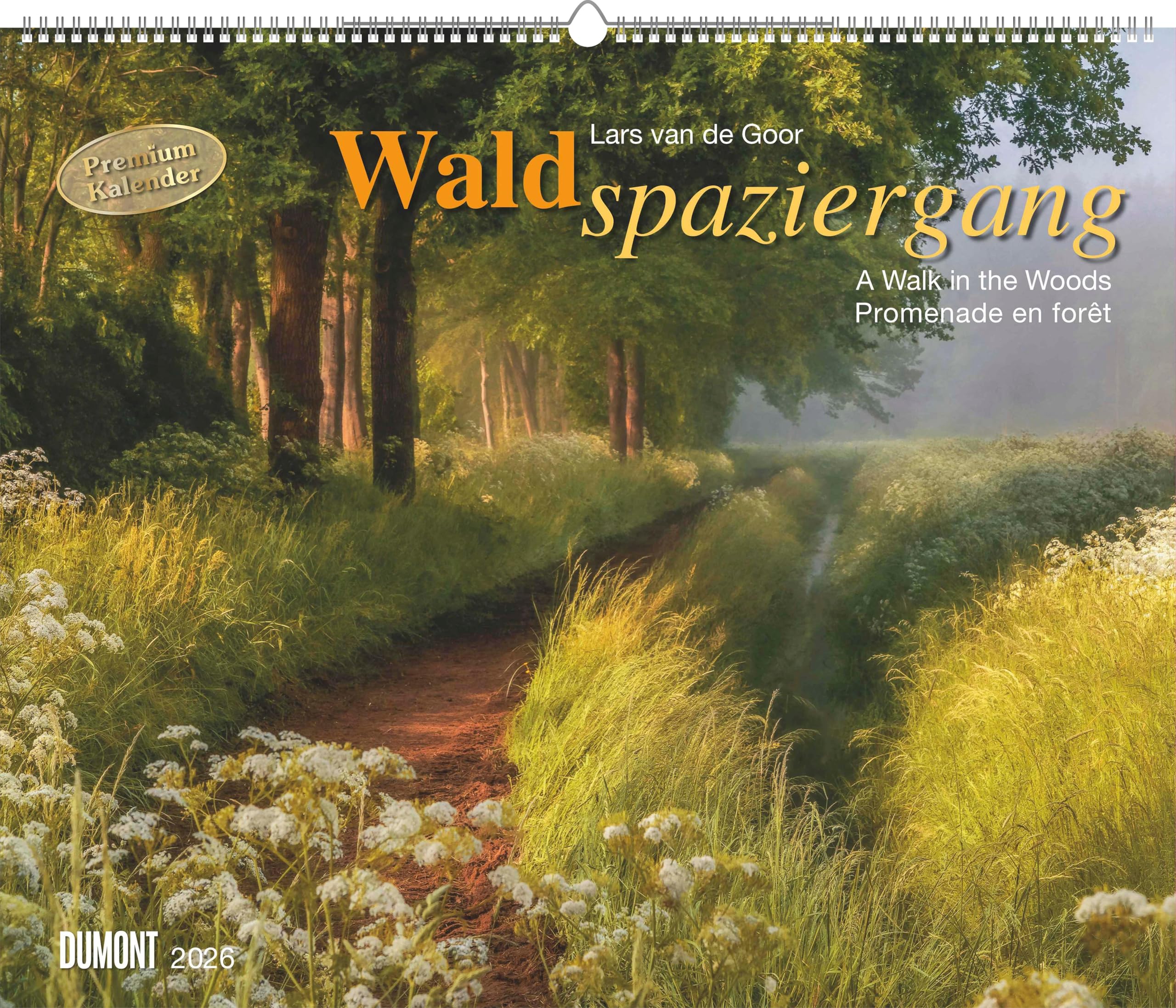 DUMONT - Waldspaziergang 2026 – Fotokunst-Kalender Querformat 60 x 50 cm – Naturfotografie von Lars van de Goor für Wald- & Naturfreunde: A walk in the Woods Promenade en foret