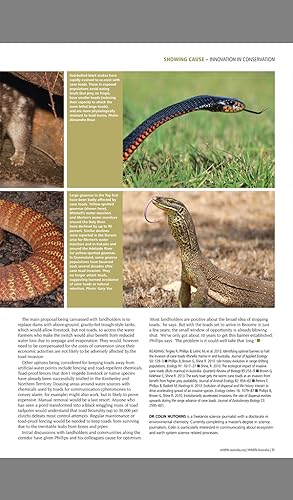 Wildlife Australia