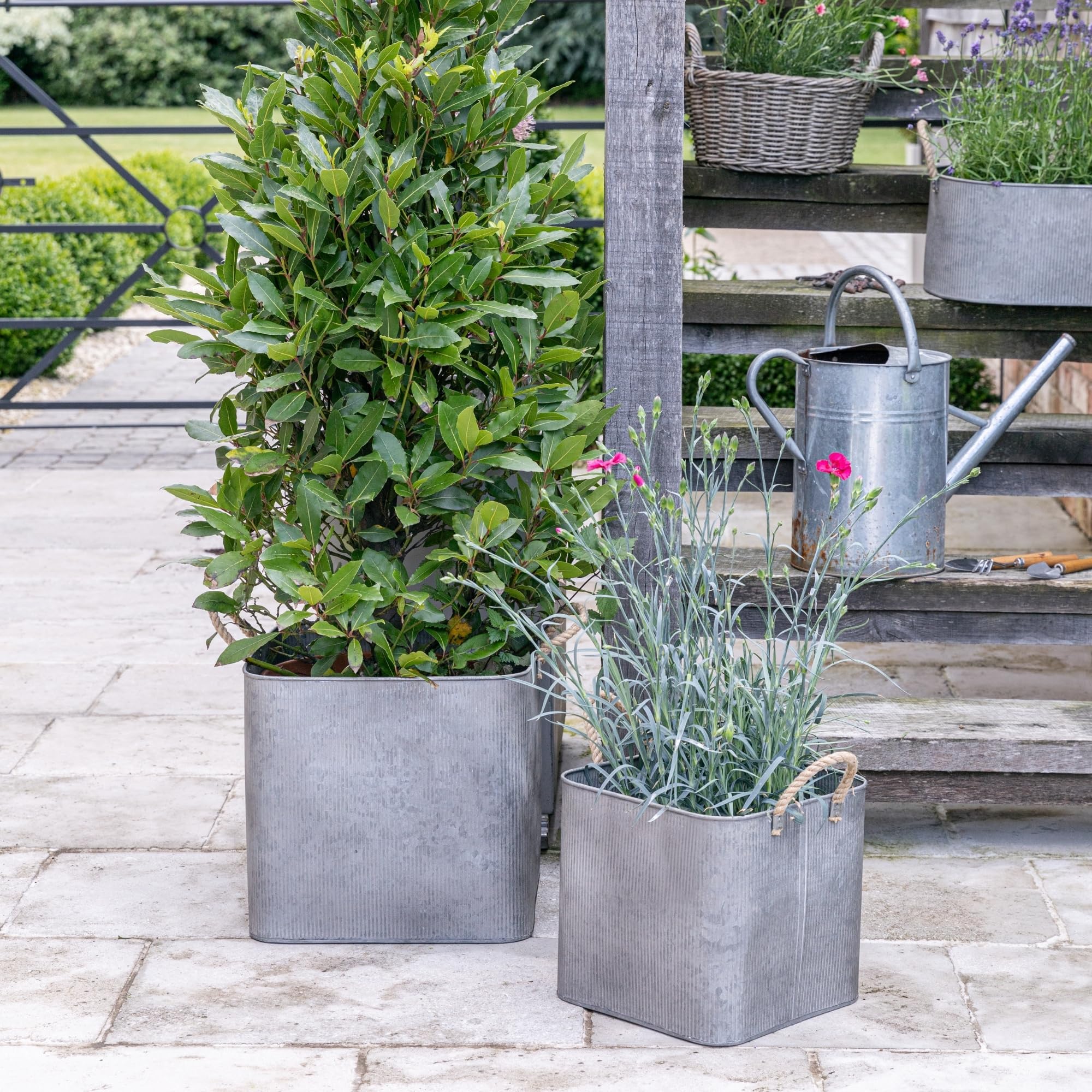 Ivyline - Galvanised Rope Handle Square Planter Set - Silver - Outdoor Planter