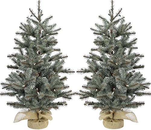 Miniatura 35 de Fraser Hill Farm Árbol de porche de 3 pies con luces LED multicolor Luces LED multicolor,Luces LED de color blanco cálido