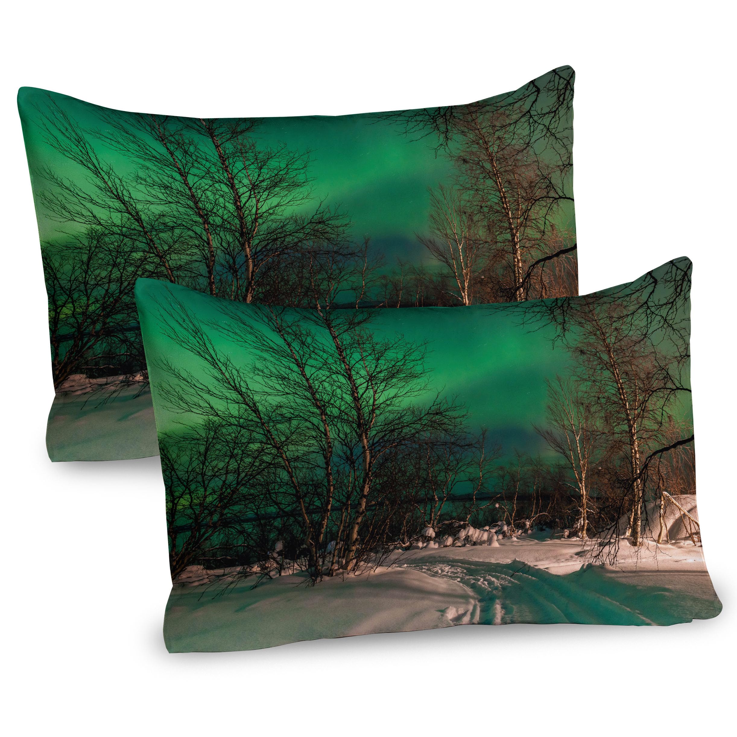 Ambesonne Aurora Borealis Pillow Sham Set of 2, Snowy Frozen Road Path Between Leafless Trees Finland Park, Quality Microfiber Bedding Item for All Seasons, 30