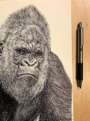 Miniatura 7 de Zebra Pen F-402 - Bolígrafo retráctil punta fina 0028in tinta azul 2 unidades