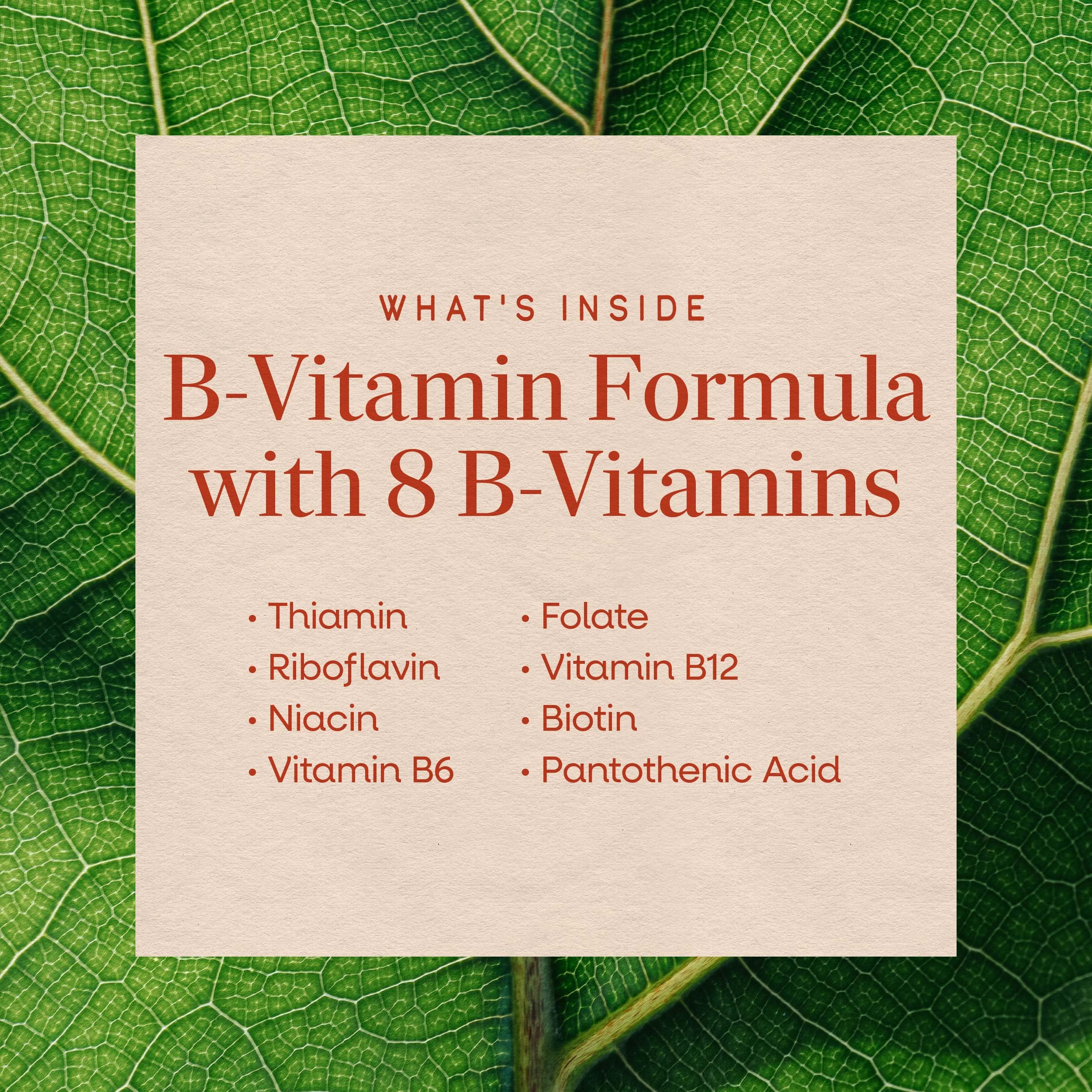 Nature's Way B-50 Complex, Supports Cellular Energy & Nerve Health*, 8 B-Vitamins, With Folic Acid, Biotin, Niacin & More, Gluten Free, 100 Capsules (Packaging May Vary) — Amazon image 4