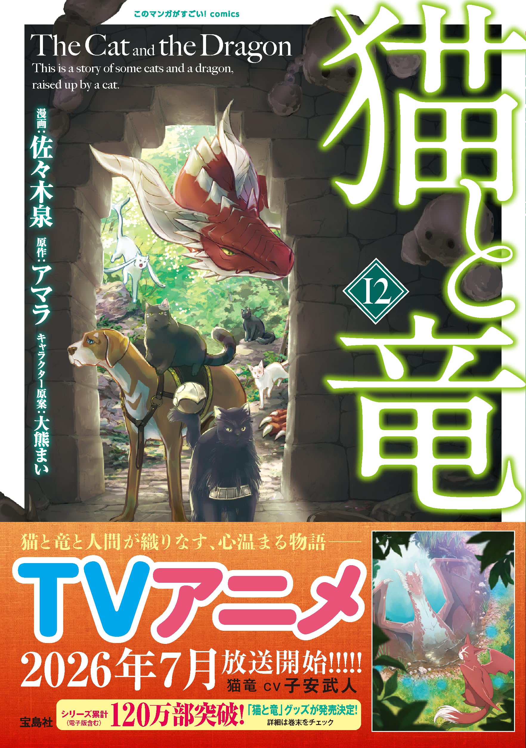 猫と竜　1〜12巻 Amazon.co.jp: 猫と竜【分冊版】12 eBook : 佐々木泉, アマラ, 大熊