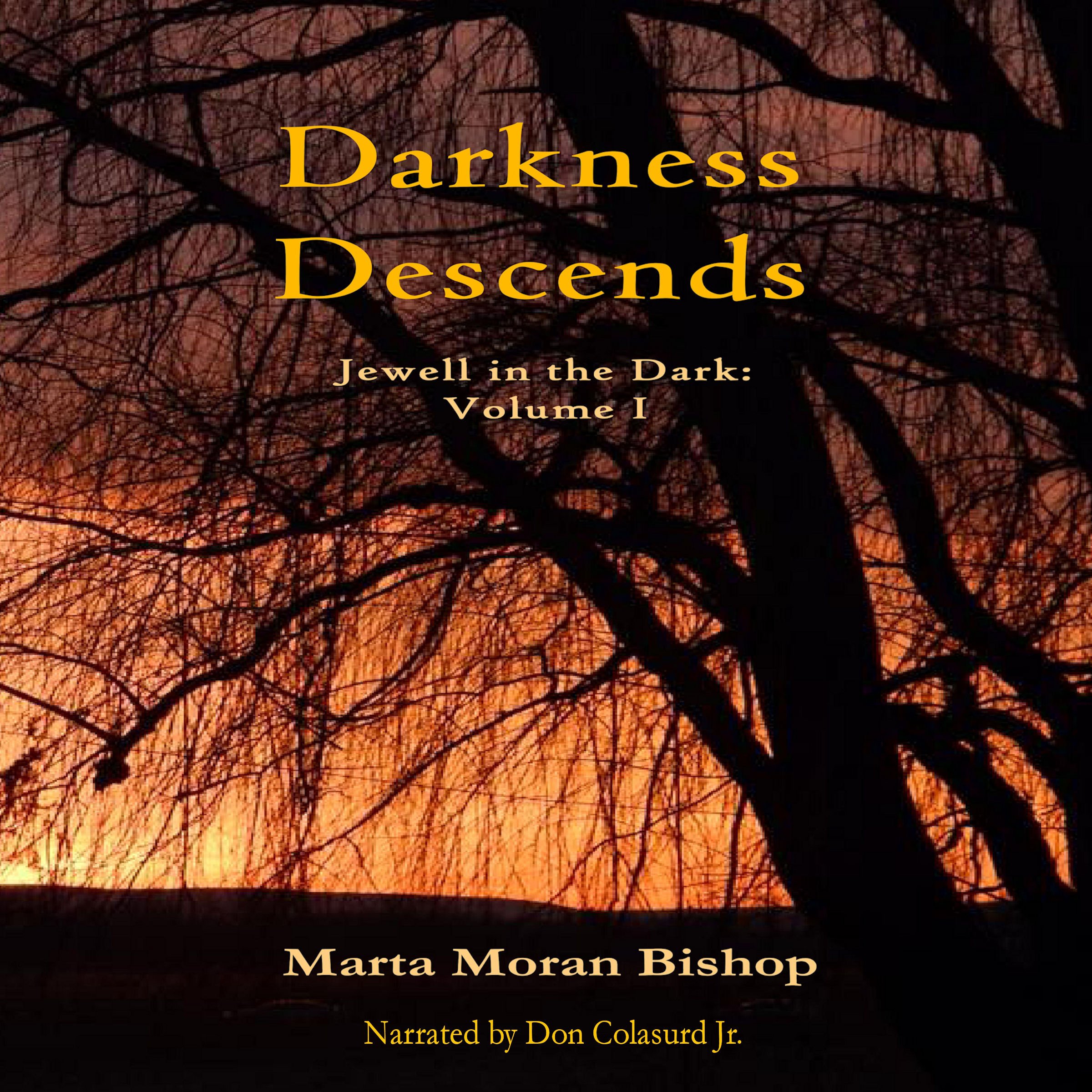 Cover art for Darkness Descends: Jewell in the Dark, Book 1