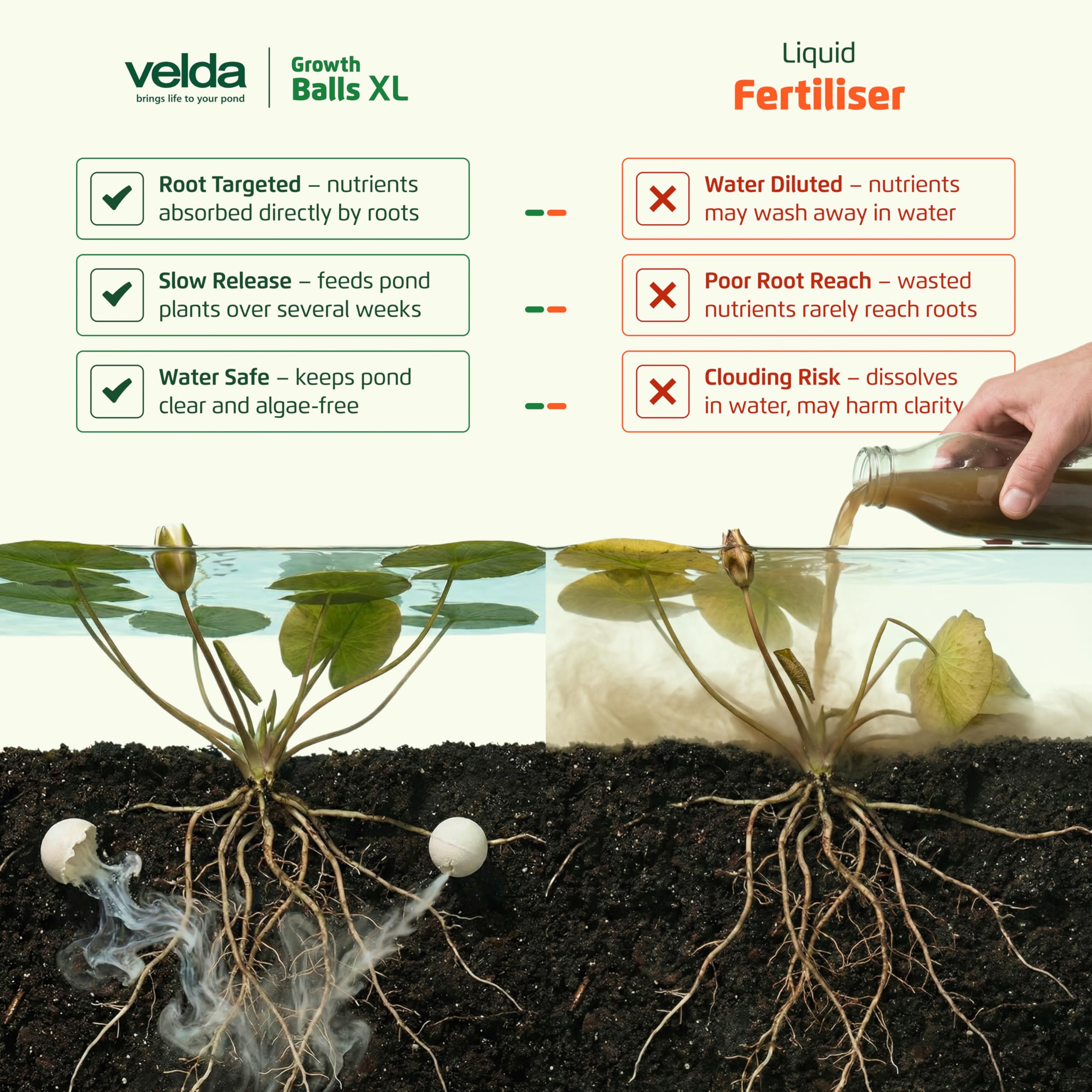 Velda 122256 Super Super abono de crecimiento para las plantas acuáticas, 55 bolas pelotas XL