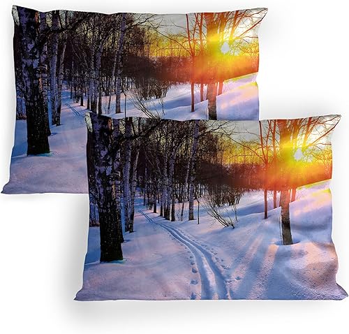 Miniatura 6 de Lunarable Owls Pillow Sham Set of 2, 2 Owls on Tree Branch Happily Ever After Message Romantic Art, Quality Microfiber Bedding Item for All Seasons,