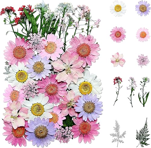 Kaluofan - 37 flores secas prensadas reales, flores secas para resina, flores secas para manualidades, para marcapáginas de resina, álbumes de