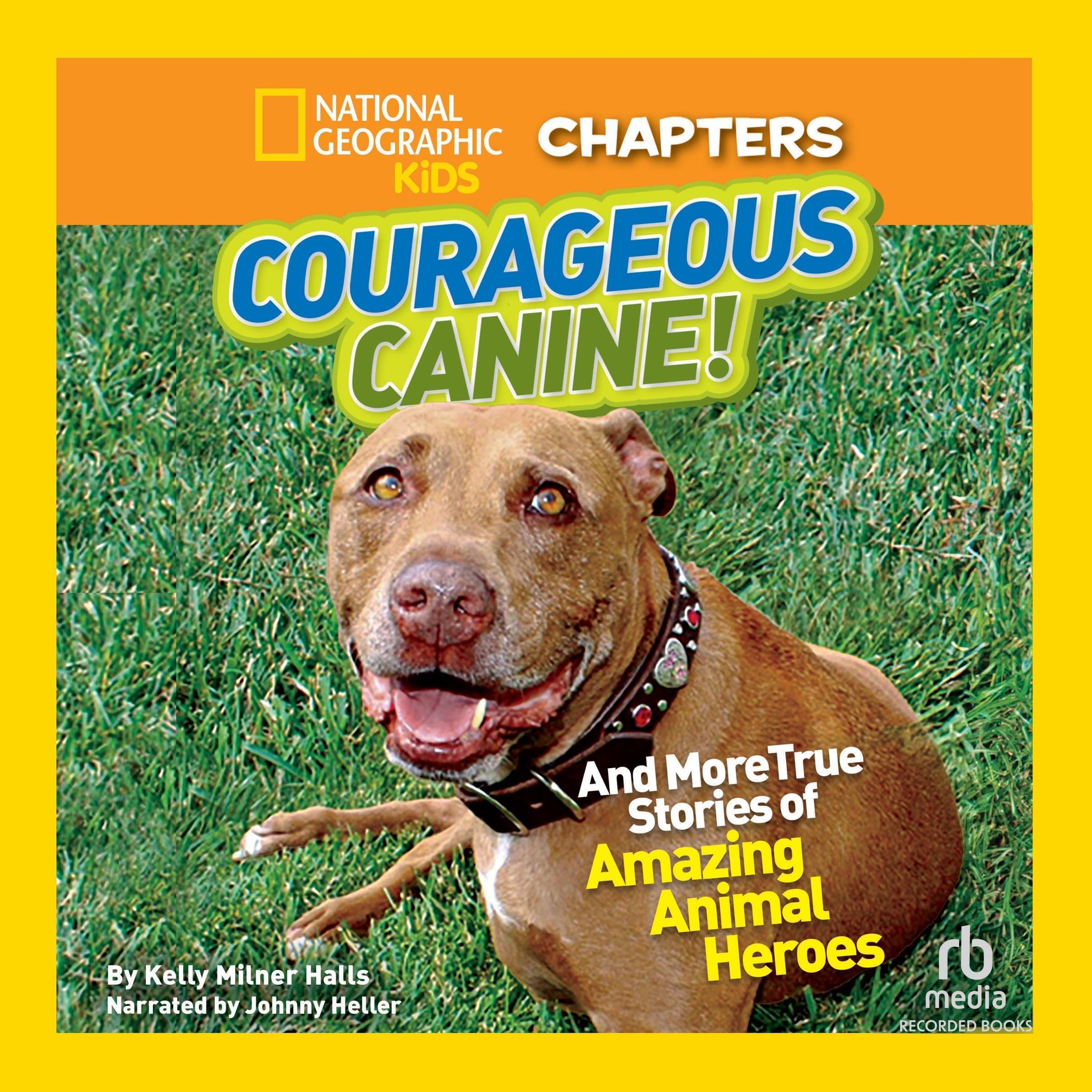Cover art for National Geographic Kids Chapters: Courageous Canine!