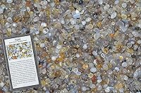 Vista 29 de Fantasia Materiales: 1 libra de piedras de lapislázuli con tarjeta de identificación