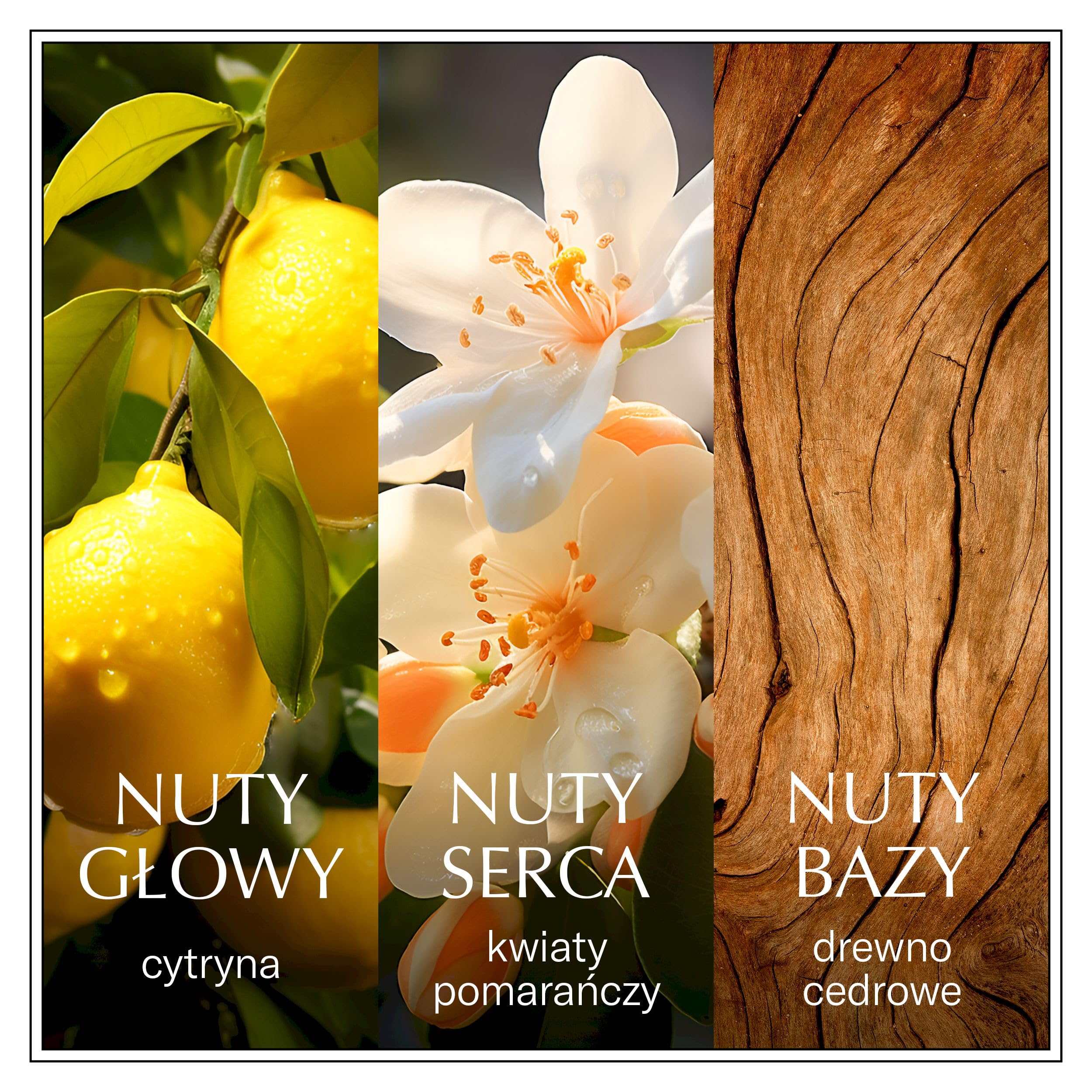 Chanson d’Eau Lemon woda toaletowa dla kobiet o orzeźwiającym zapachu cytryny, 100 ml