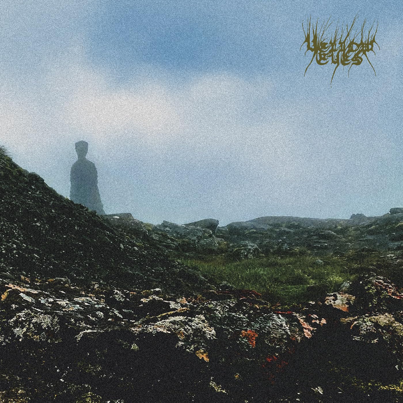 Confusion Gate [Vinyl LP] [VINYL]