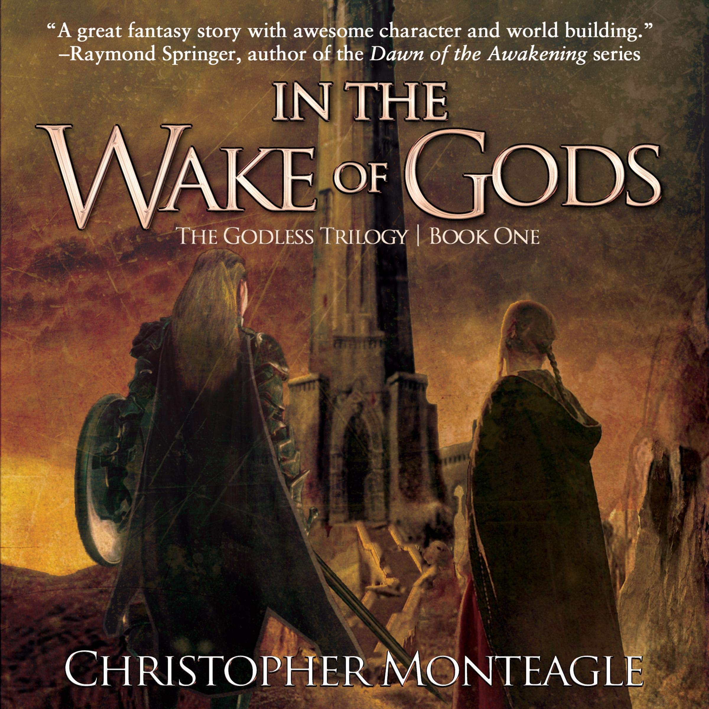 Cover art for In the Wake of Gods