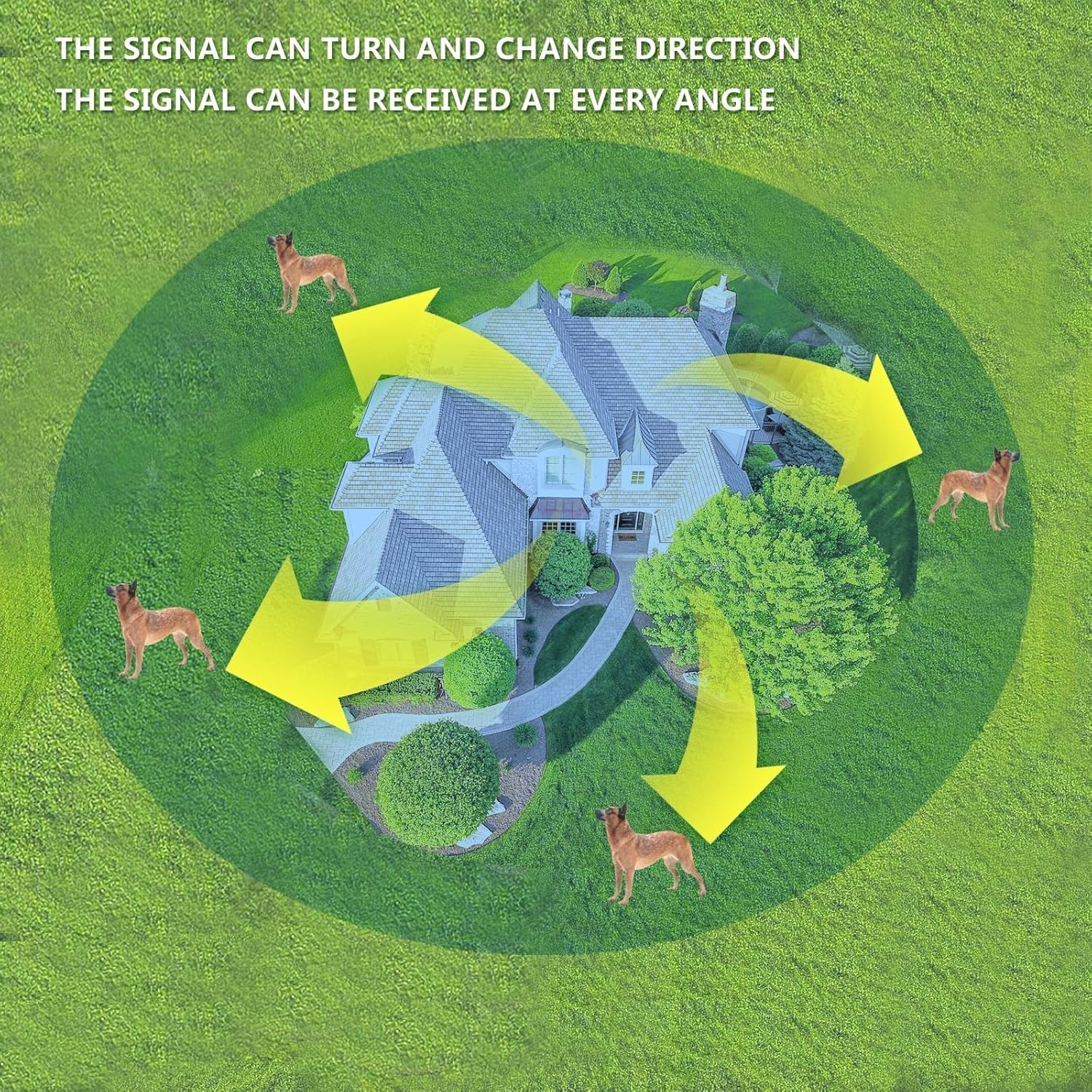 Aerial view showing the 360-degree signal coverage of the wireless dog fence around a house, with dogs staying within the boundary.