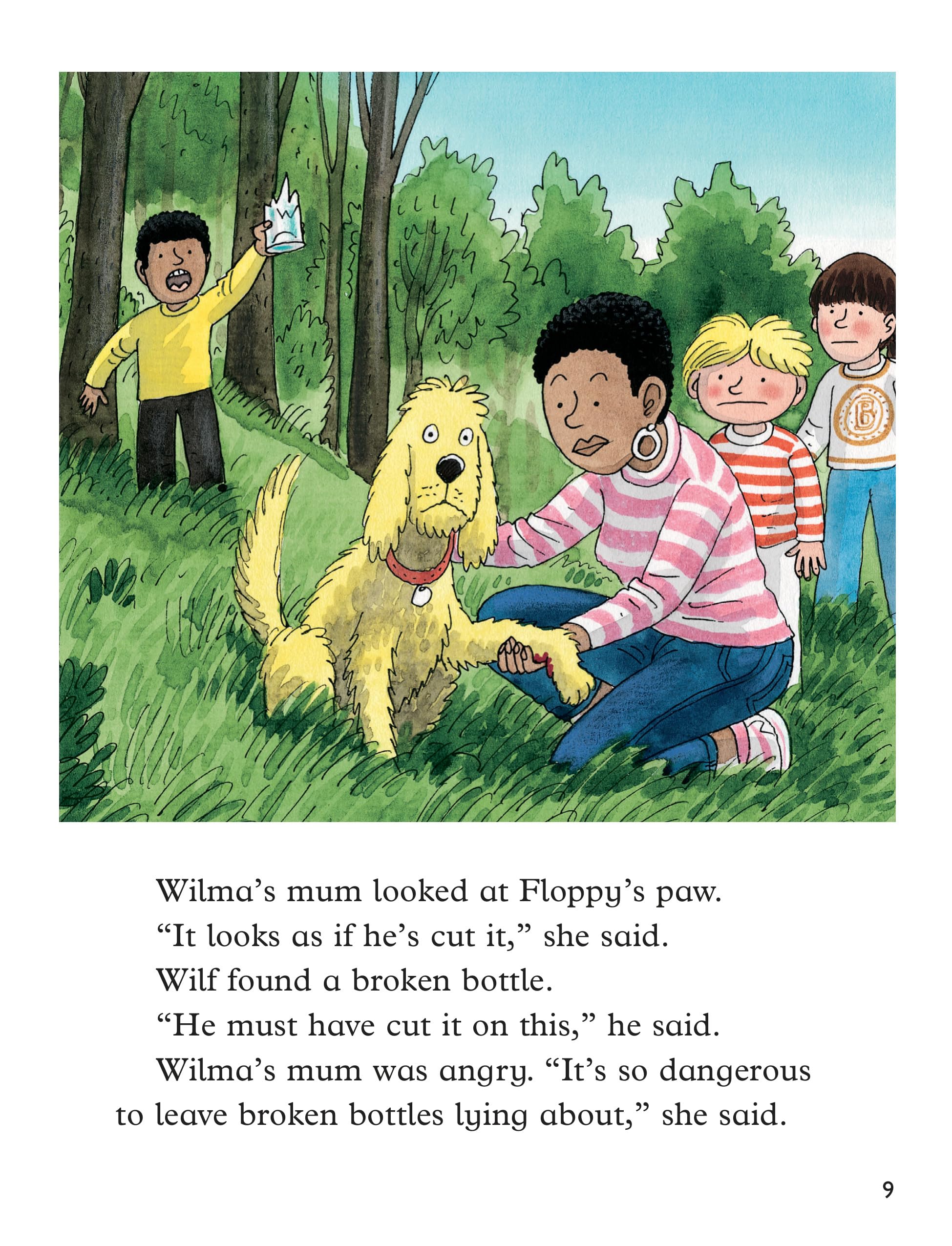 Oxford Reading Tree: Biff, Chip and Kipper Stories: Oxford Level 9: Mixed Pack 5