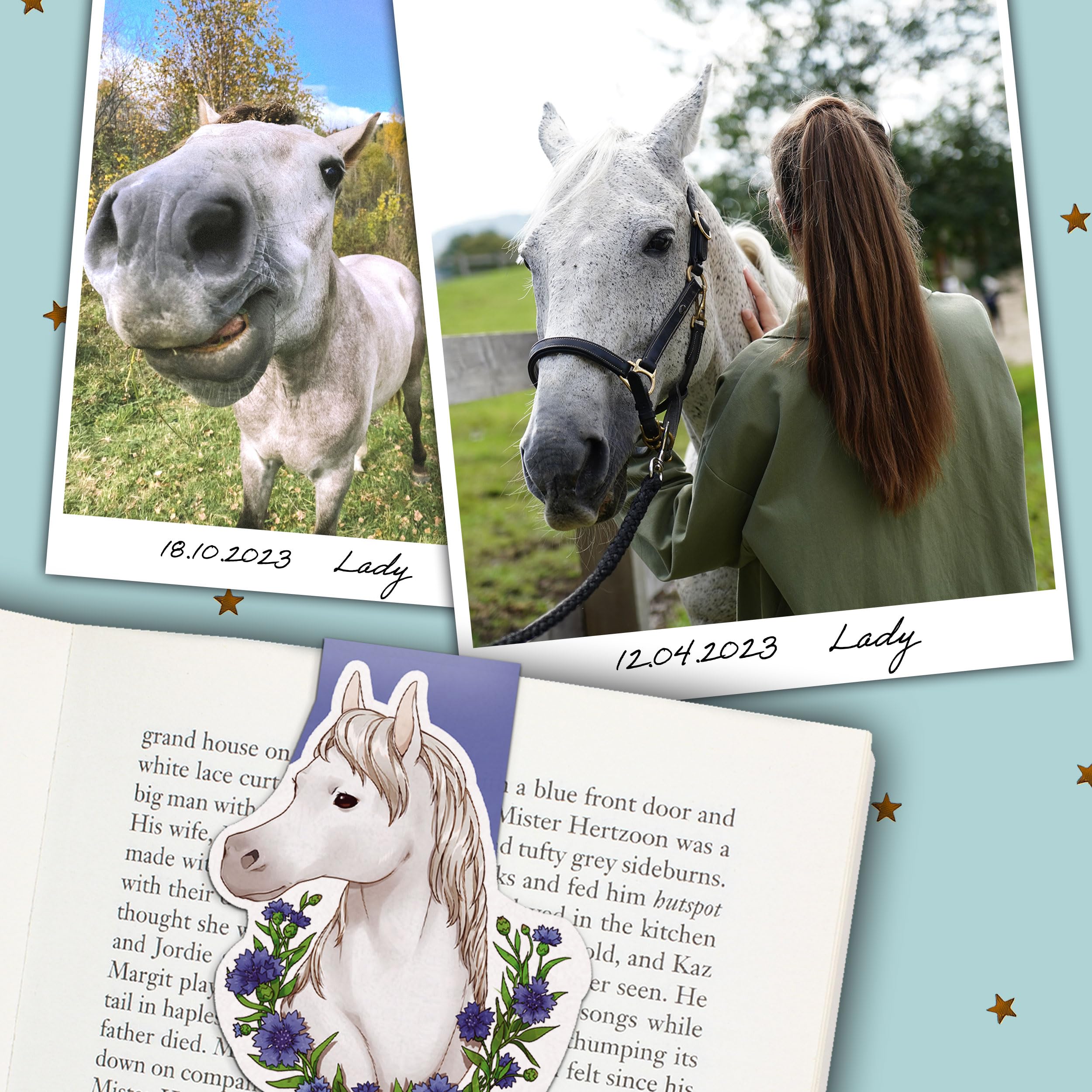 Lot De 16 Marque-pages Magnétiques En Forme De Chevaux