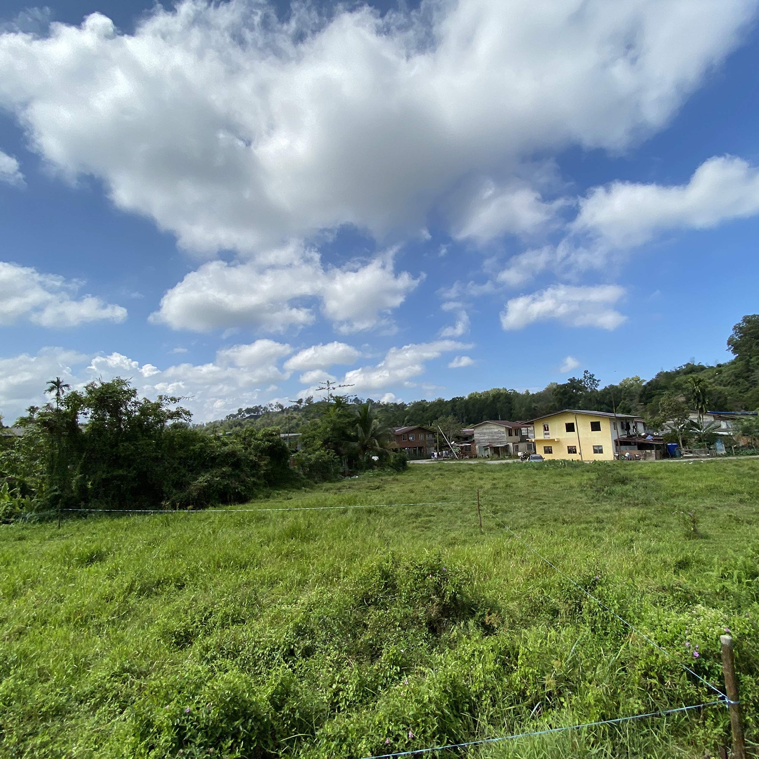 Beethoven Symphony No.9