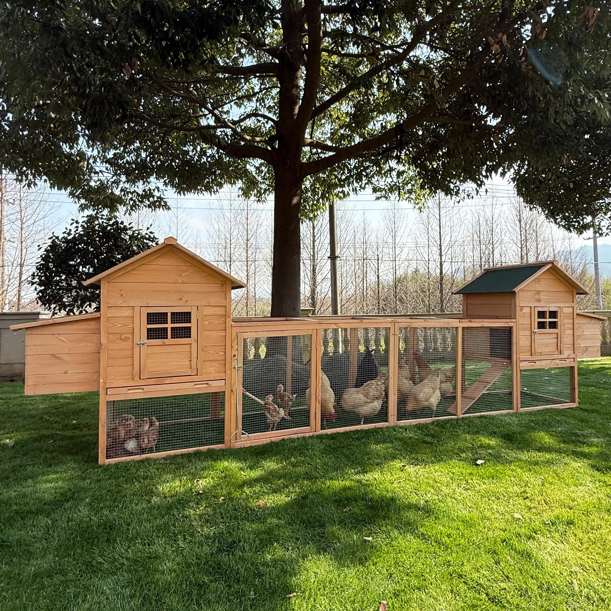 Outdoor Chicken Coop for 4-8 Chickens Wooden Hen Rabbit House Poultry Pet Hutch Run Cage w/Waterproof Asphalt Roof, Ramp, Nesting Box, Wire Fence (160