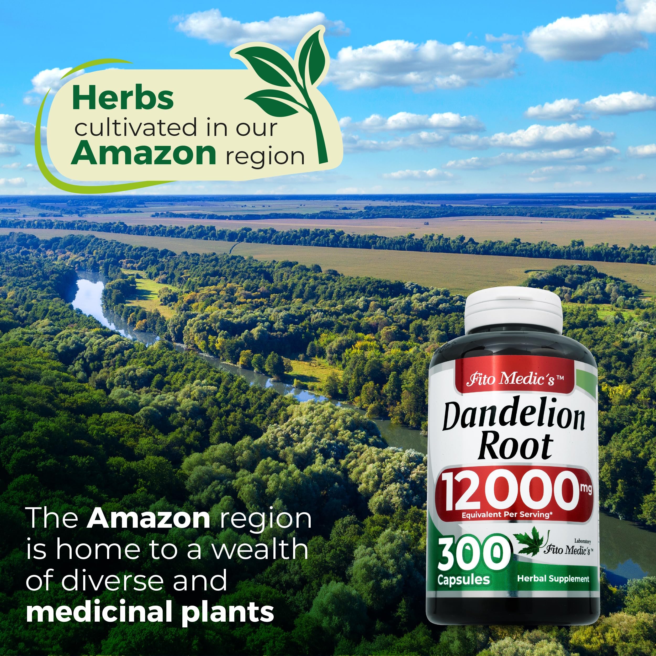 FITO MEDIC'S Dandelion | Dandelion Root Capsules | Dandelion Pills | 300 Capsules | Herbal Supplement — Amazon image 6