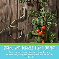 Vista 4 de VELCRO Brand VEL-30087-AMS Paquete Inicial de Lazos ONE-WRAP para Jardines en Contenedores o Plantas de Interior, 12 piezas, Pre-Cortados, 6 in x